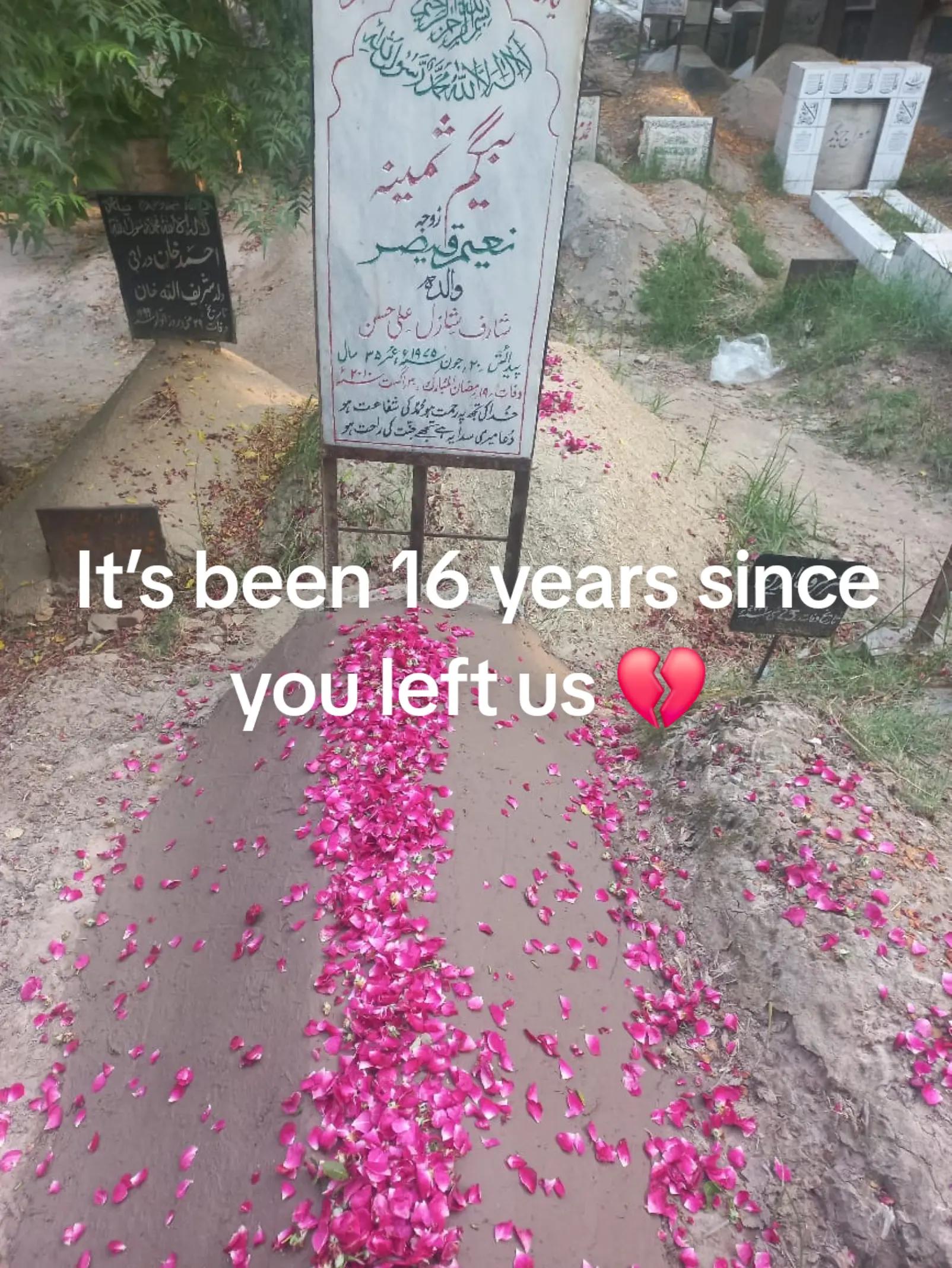 @Dr Neelum Nawaz