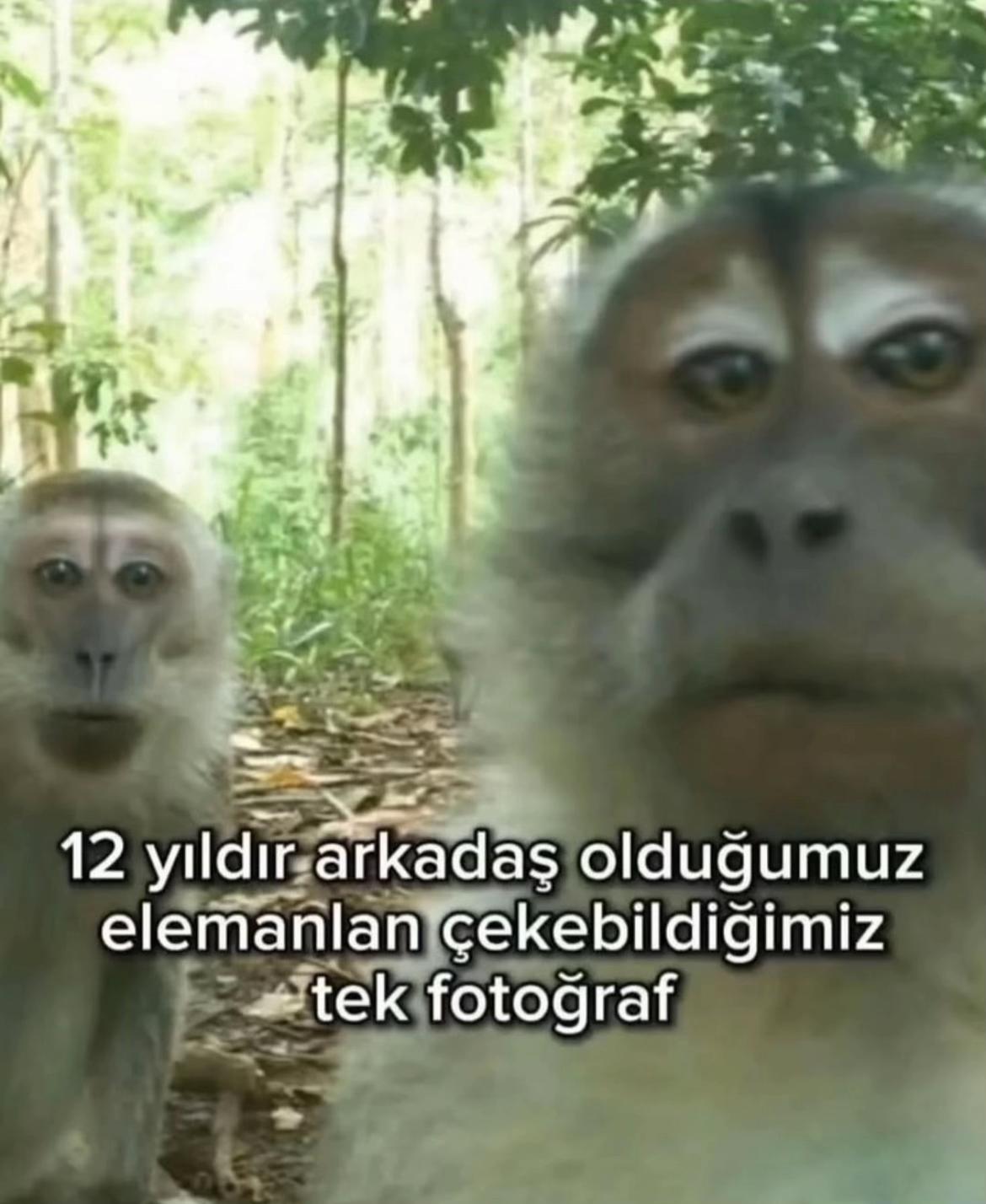 @emreylmiz