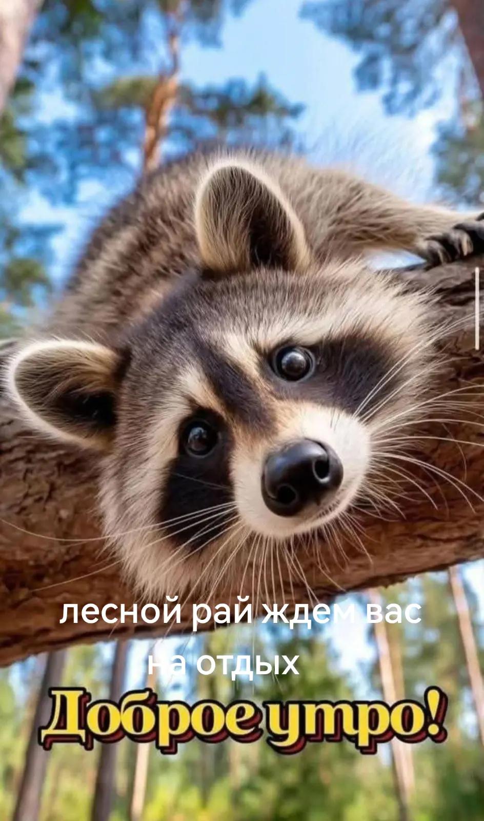 @Александр