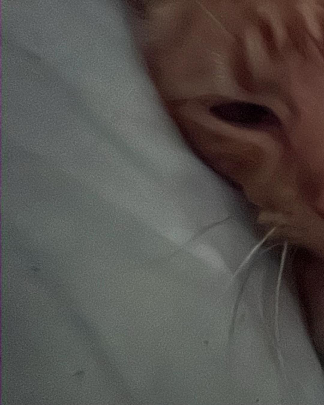 @🐱Dorito Tech🐱