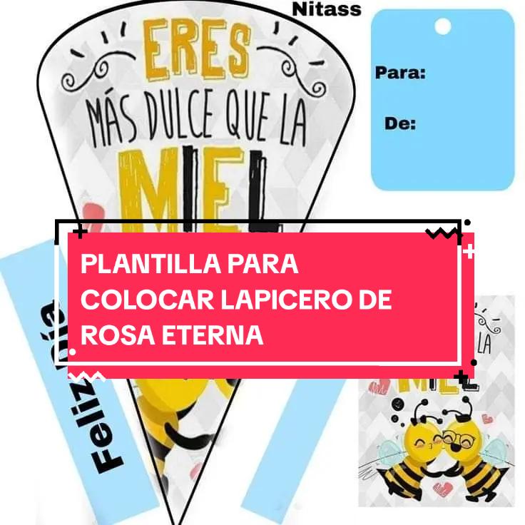 @🙌🏼 Detalles de Kriss 💖