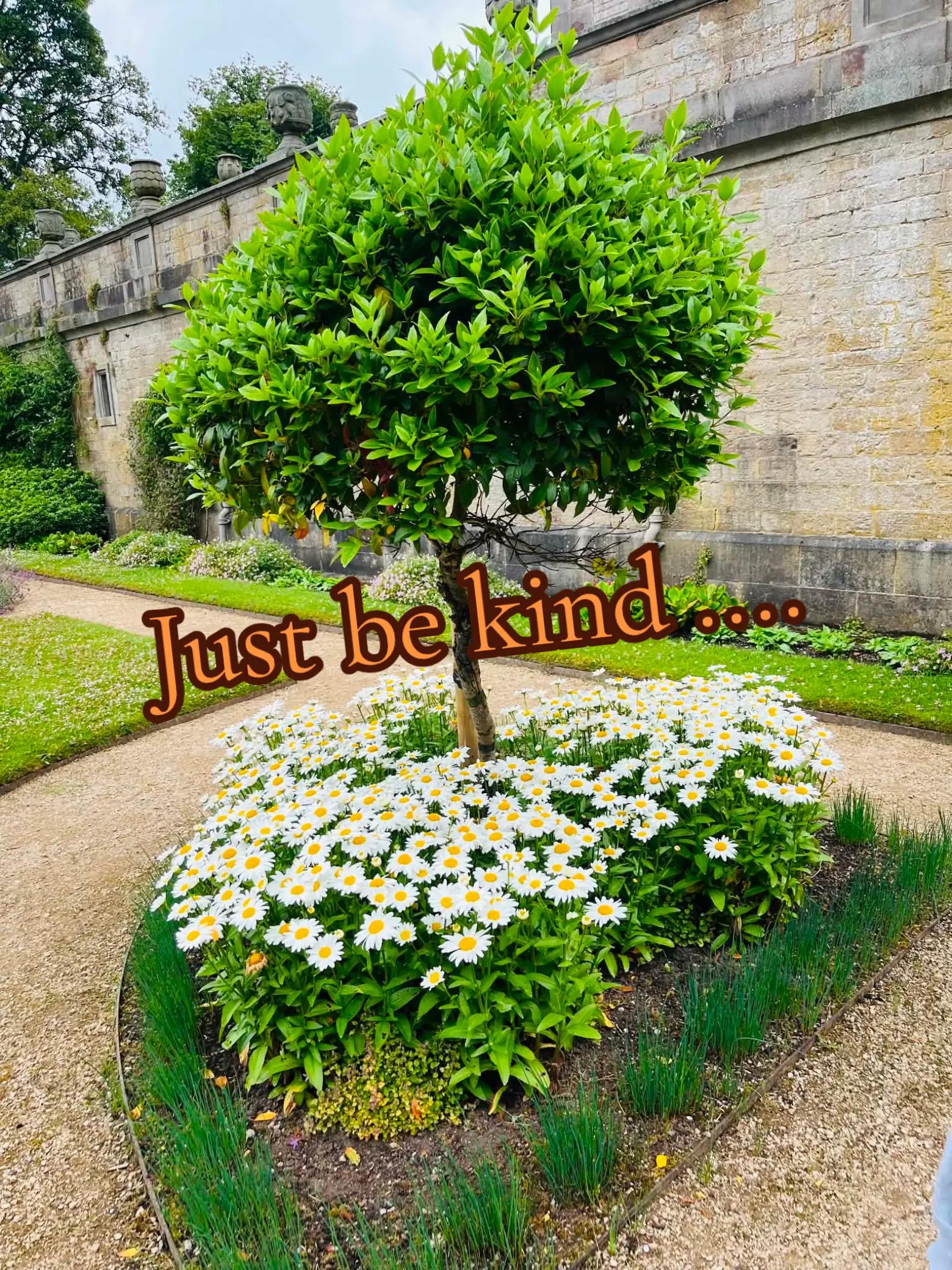 @positivity & love