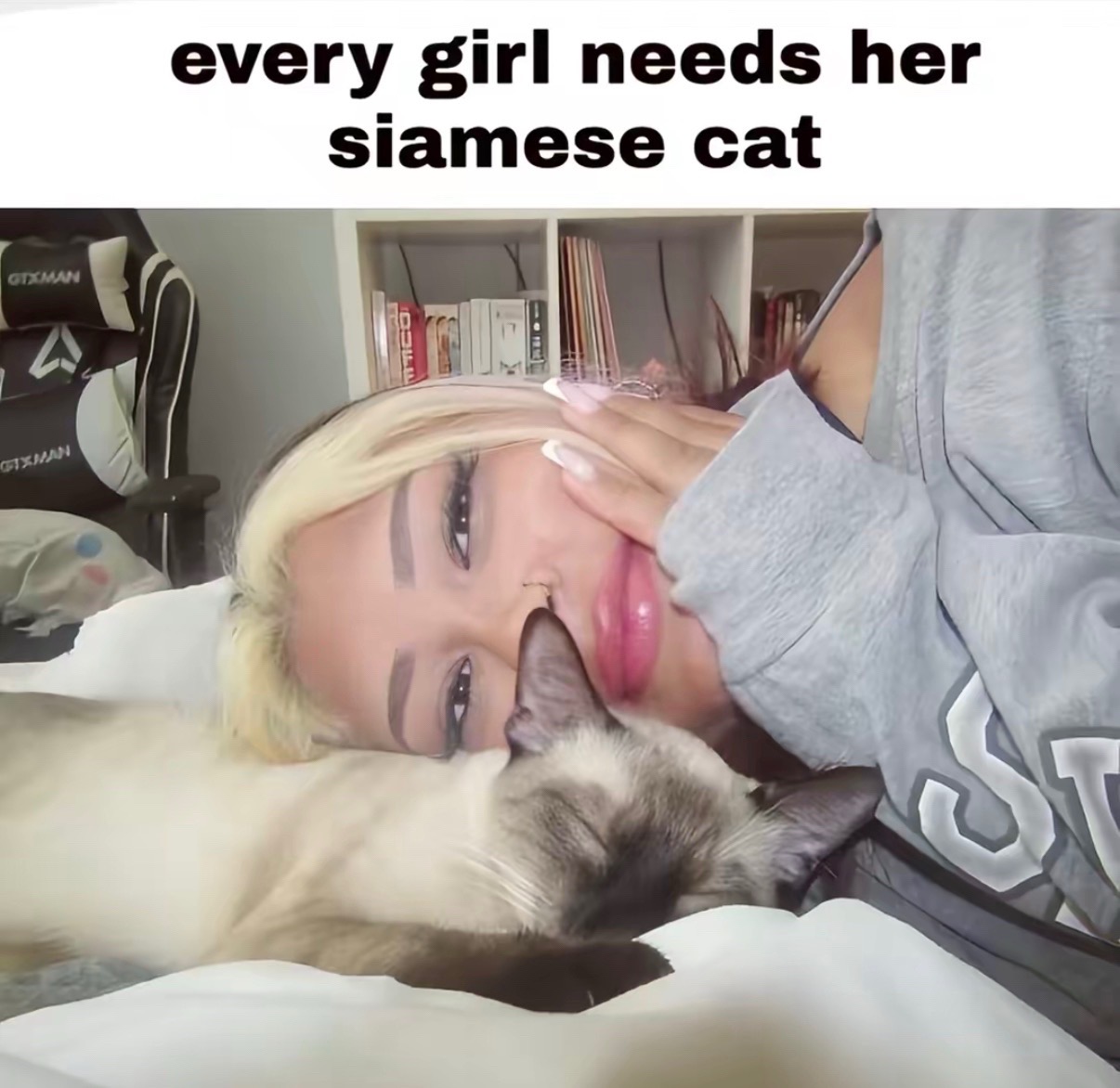 @Meadow🐈&zwj;⬛🖤