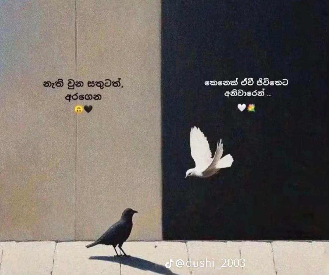 @ASHI...❤️🩹