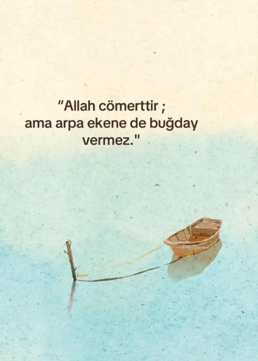 @hayattan izler