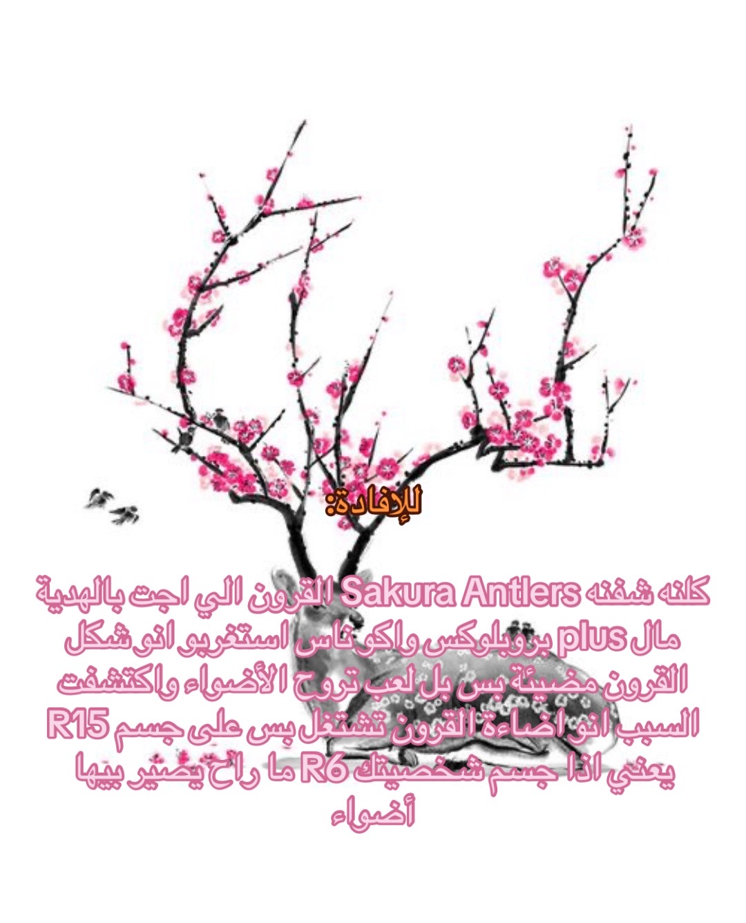 @๐ป๐๐๐๐๐ฎ๐ถ