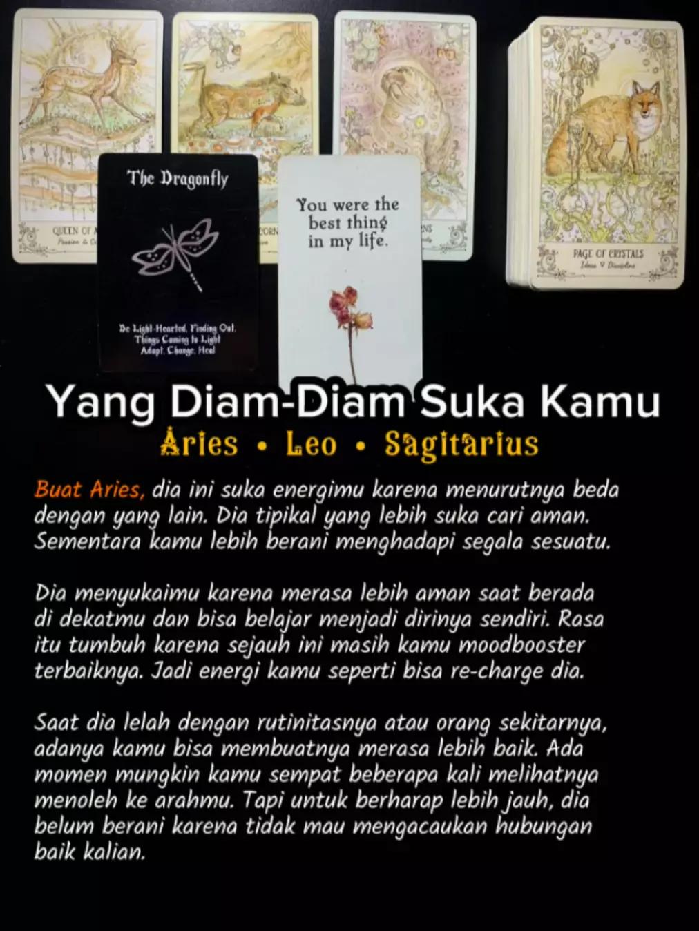 @astrophilesight