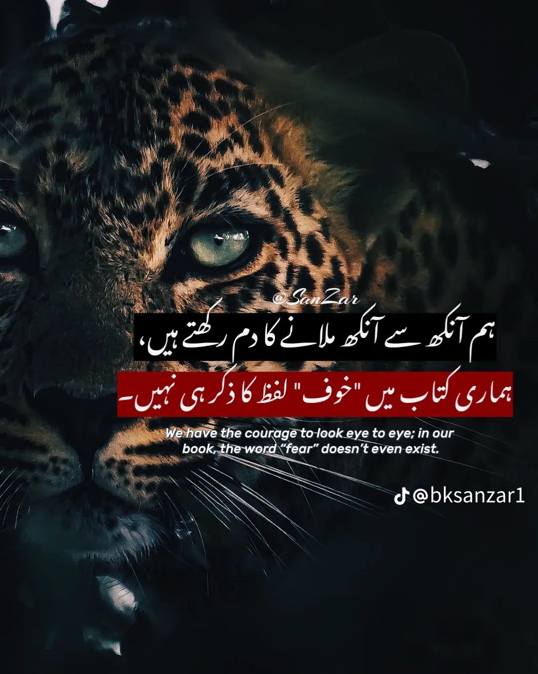 @⚜️KAMRAN 711🦂