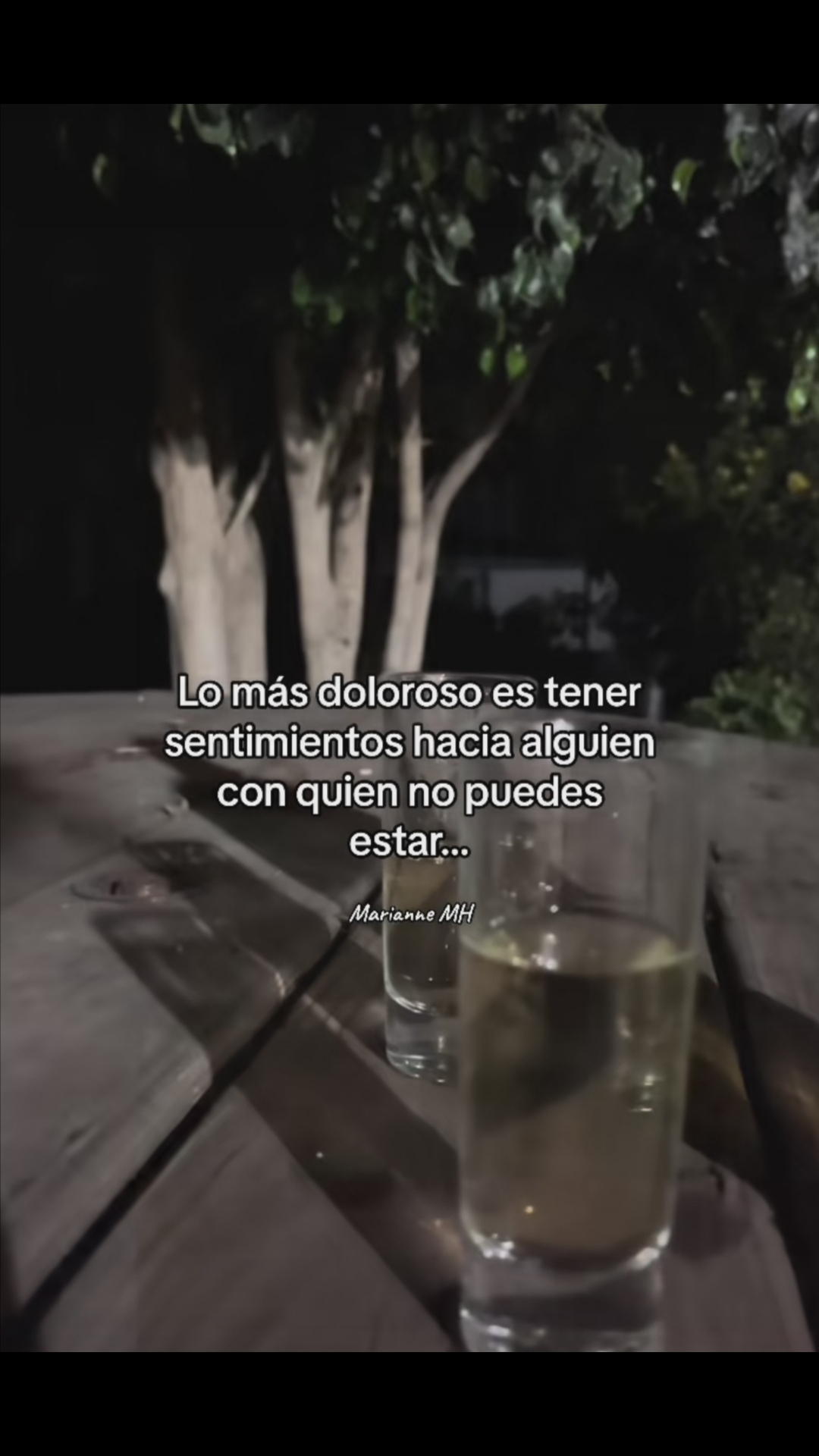 @Fridel Andrade