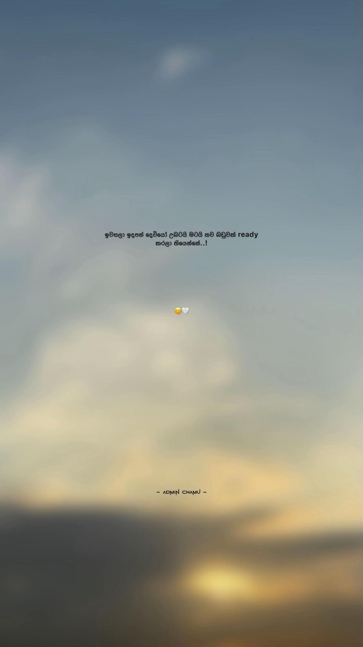 @𝓣𝓱𝓮 𝓒𝓱𝓪𝓶𝓾 ☁️