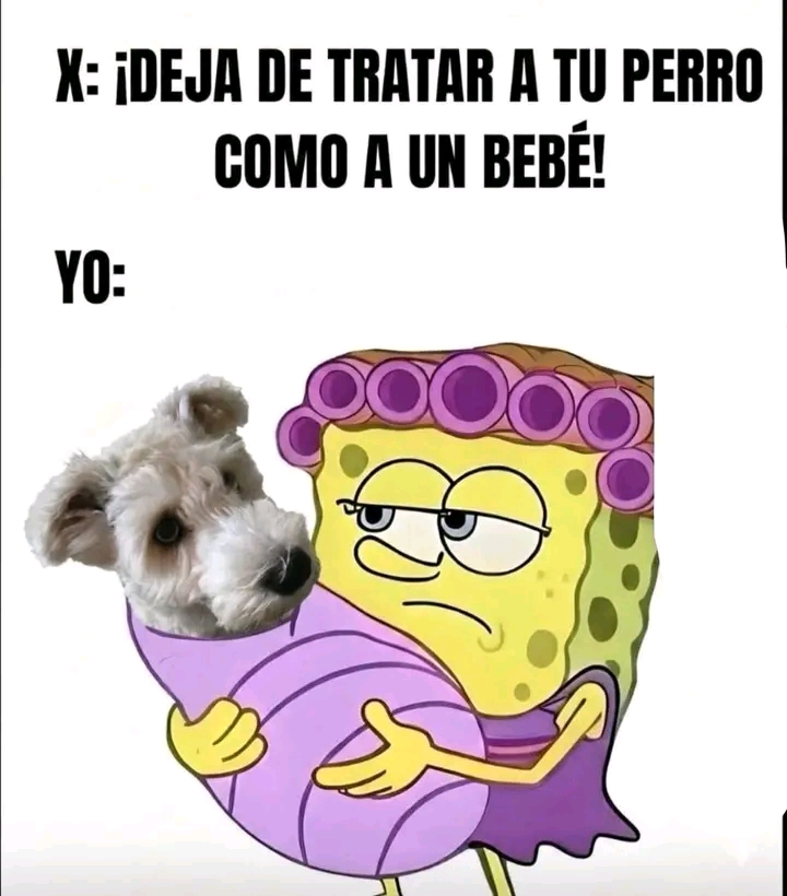 @🐶 Benji_Mya 🐾🐕