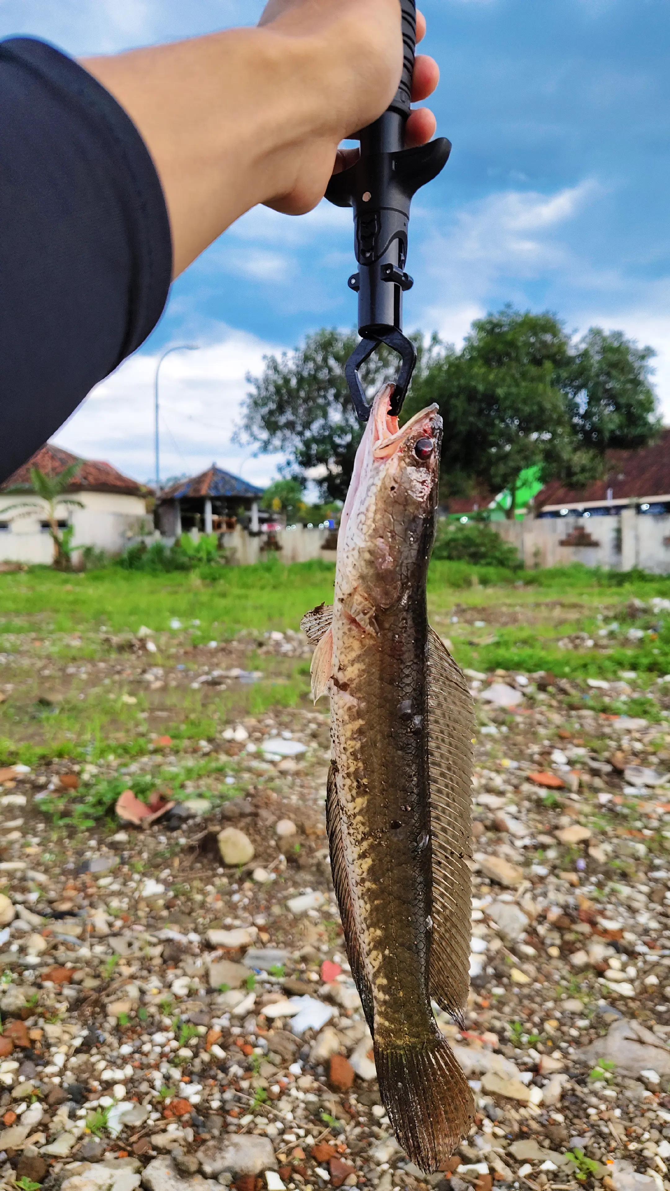 @gustavxfishing