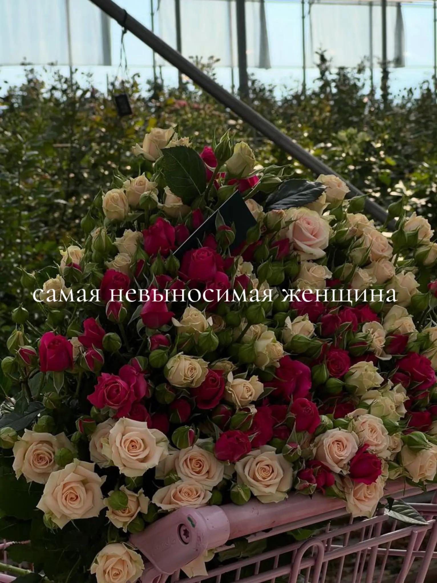 @здесь грустно