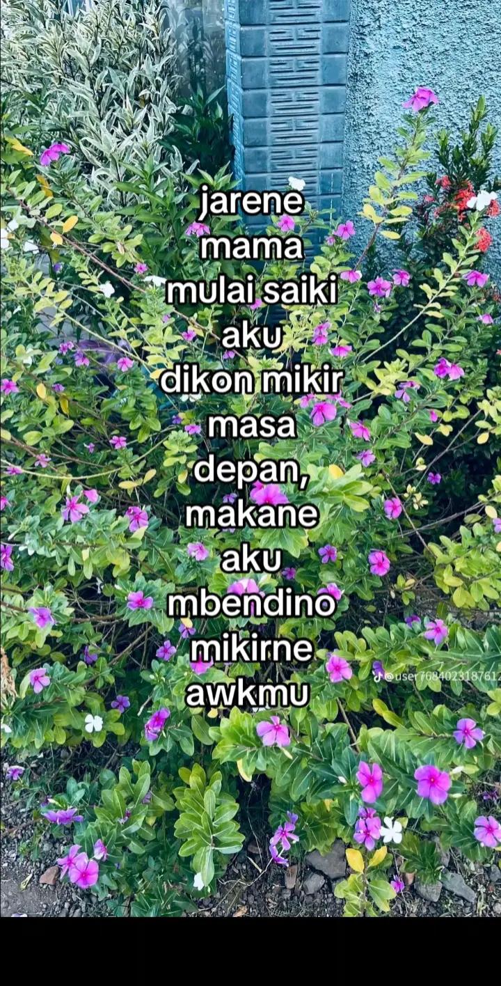 @nanacantik