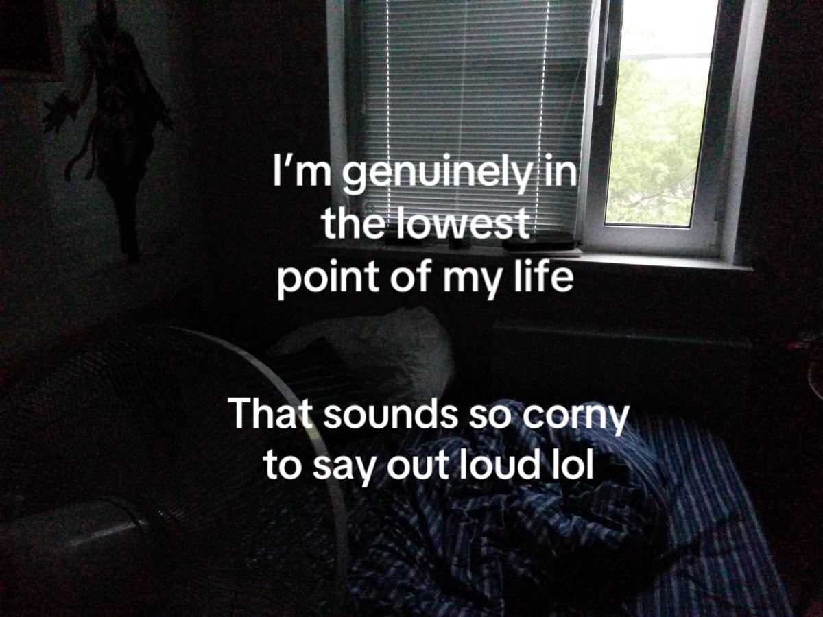 @🪽