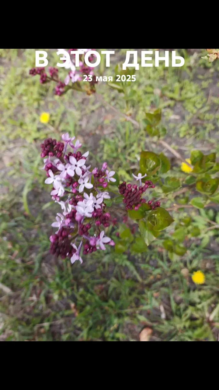 @user12345