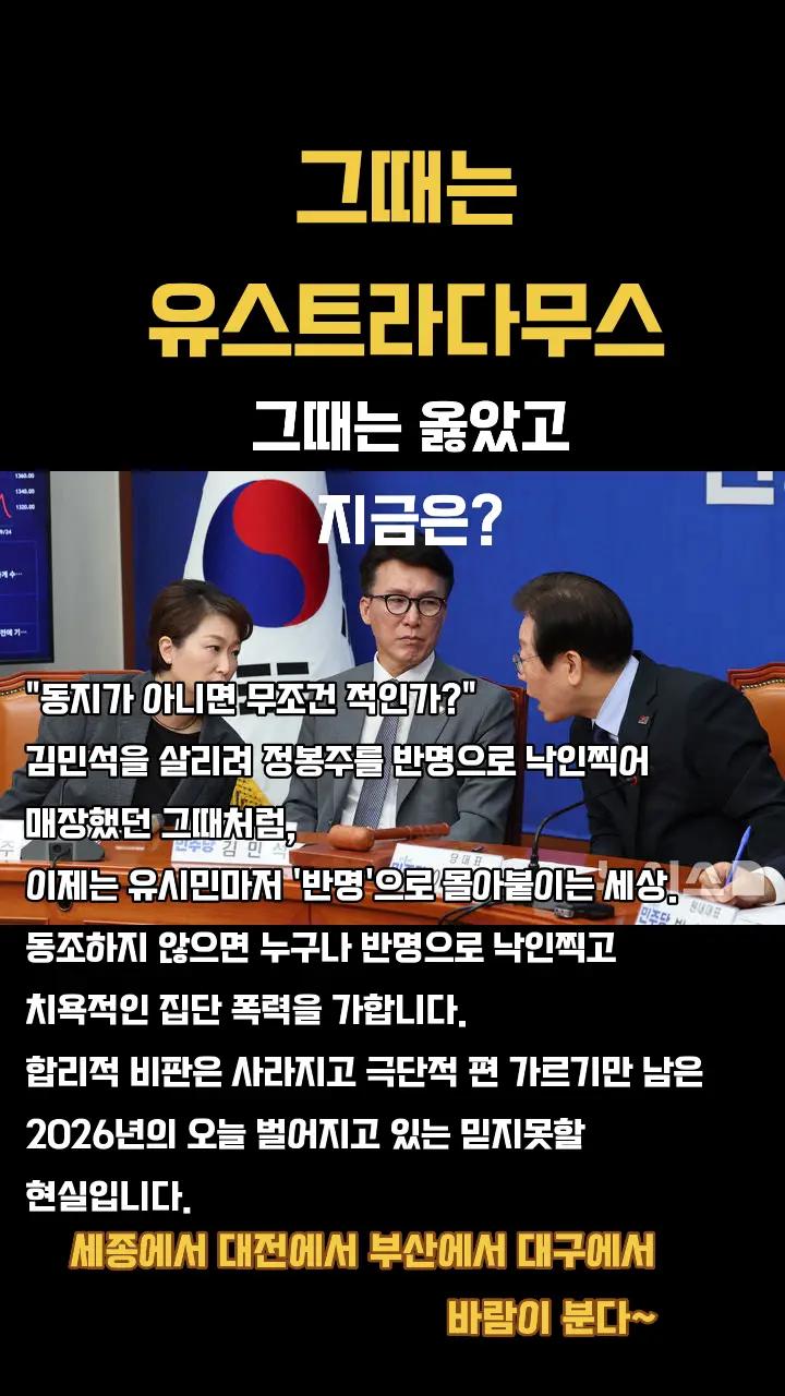 @Team Dokdo