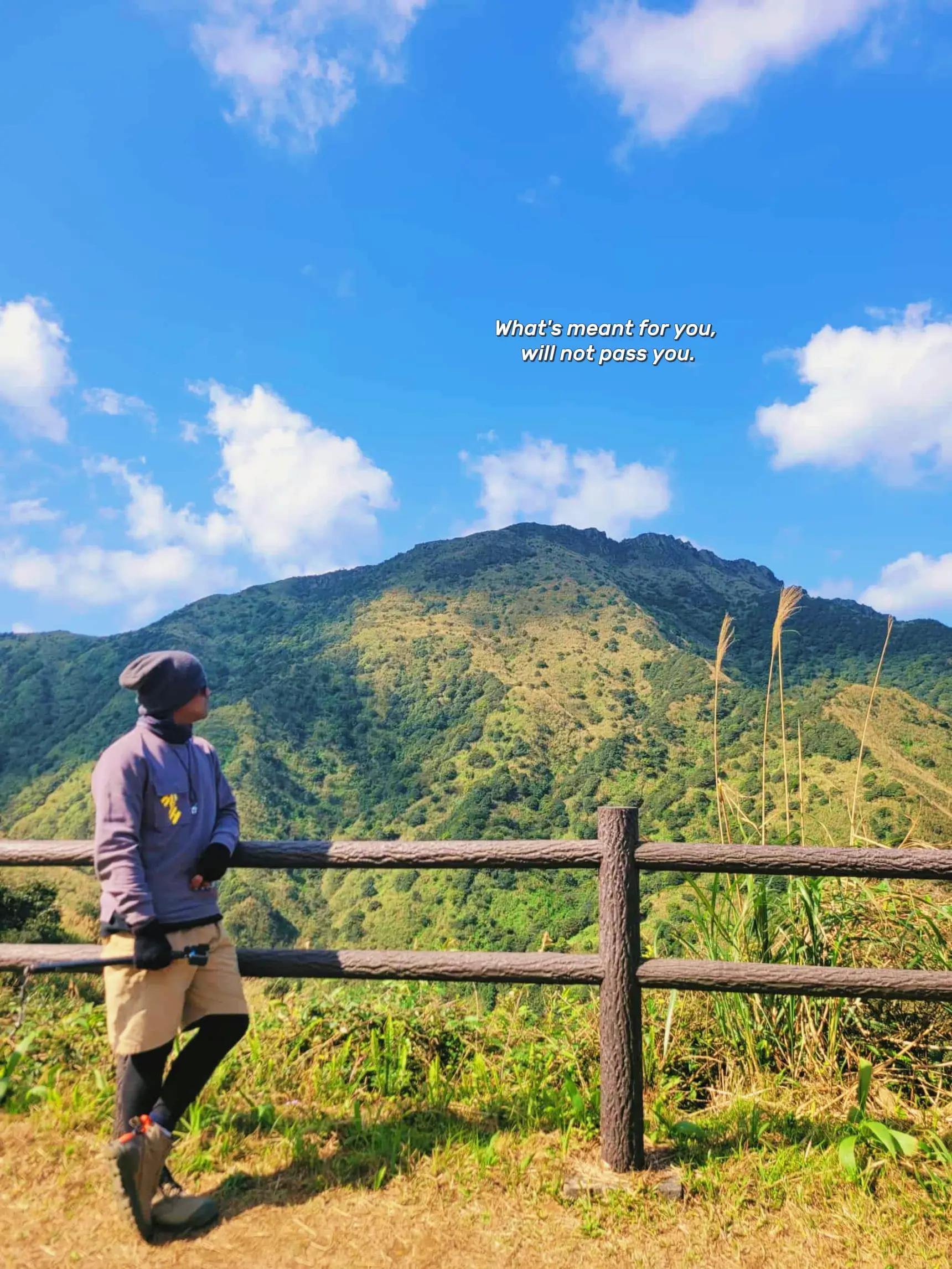 @Mark馬克⛰️🍃🇮🇹🇹🇼