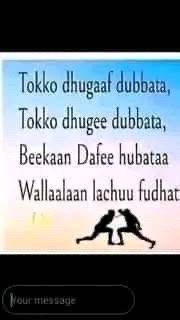 @Obsan