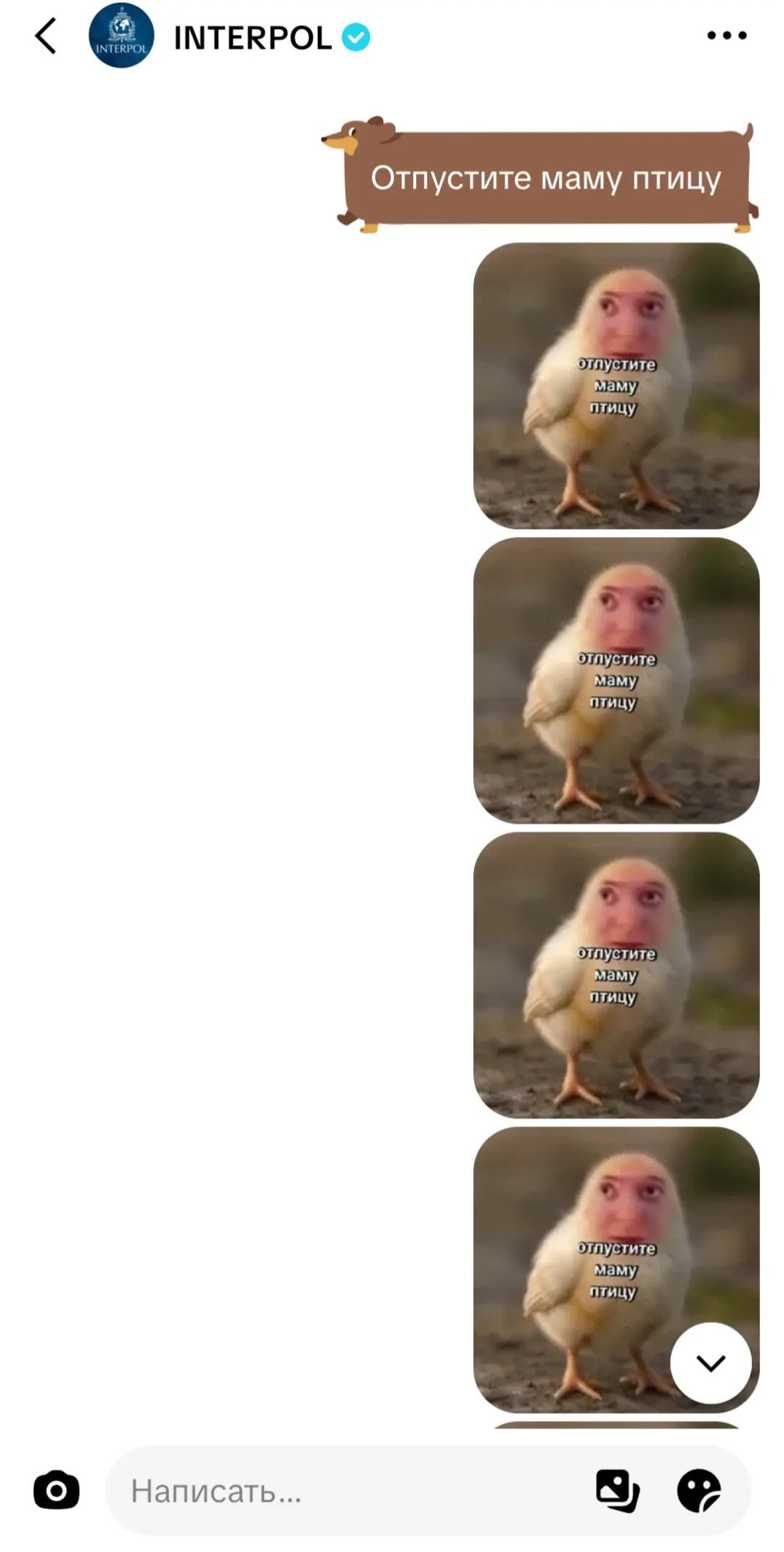@mellstroy_fan
