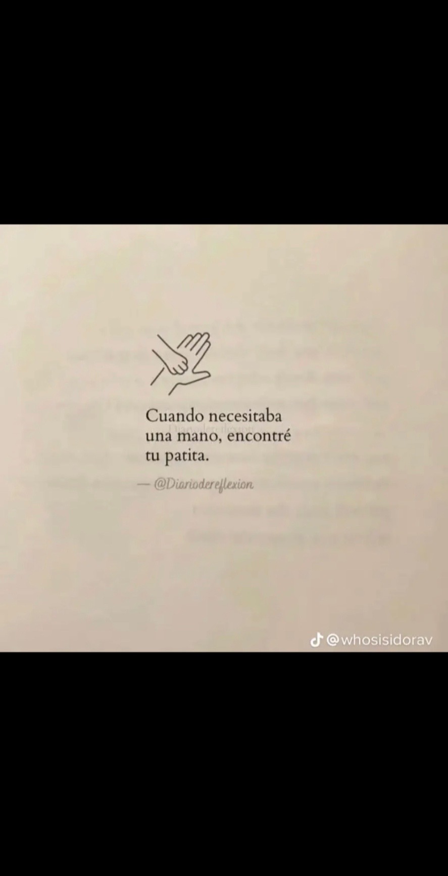@andrea