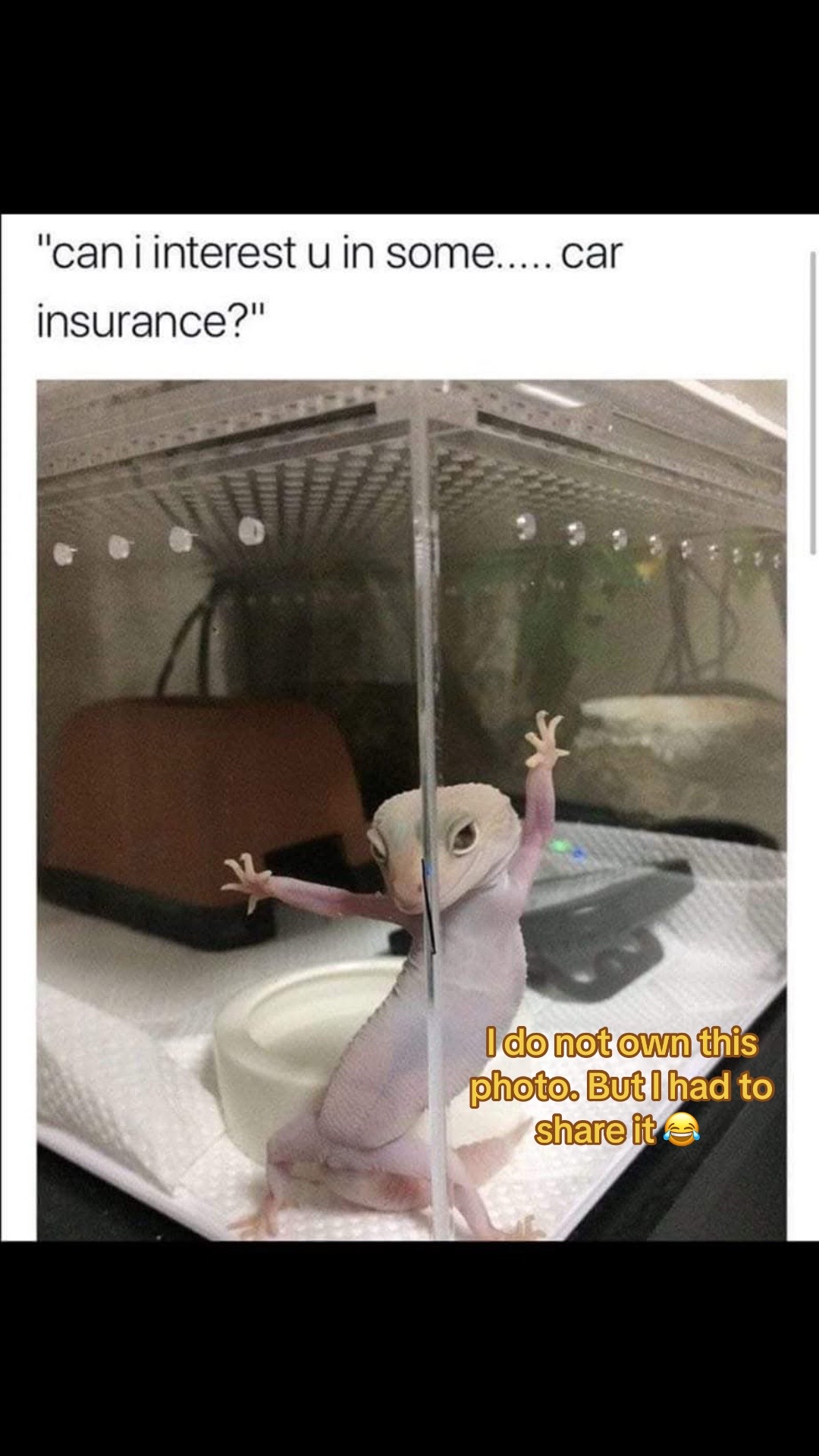 @PaMEla