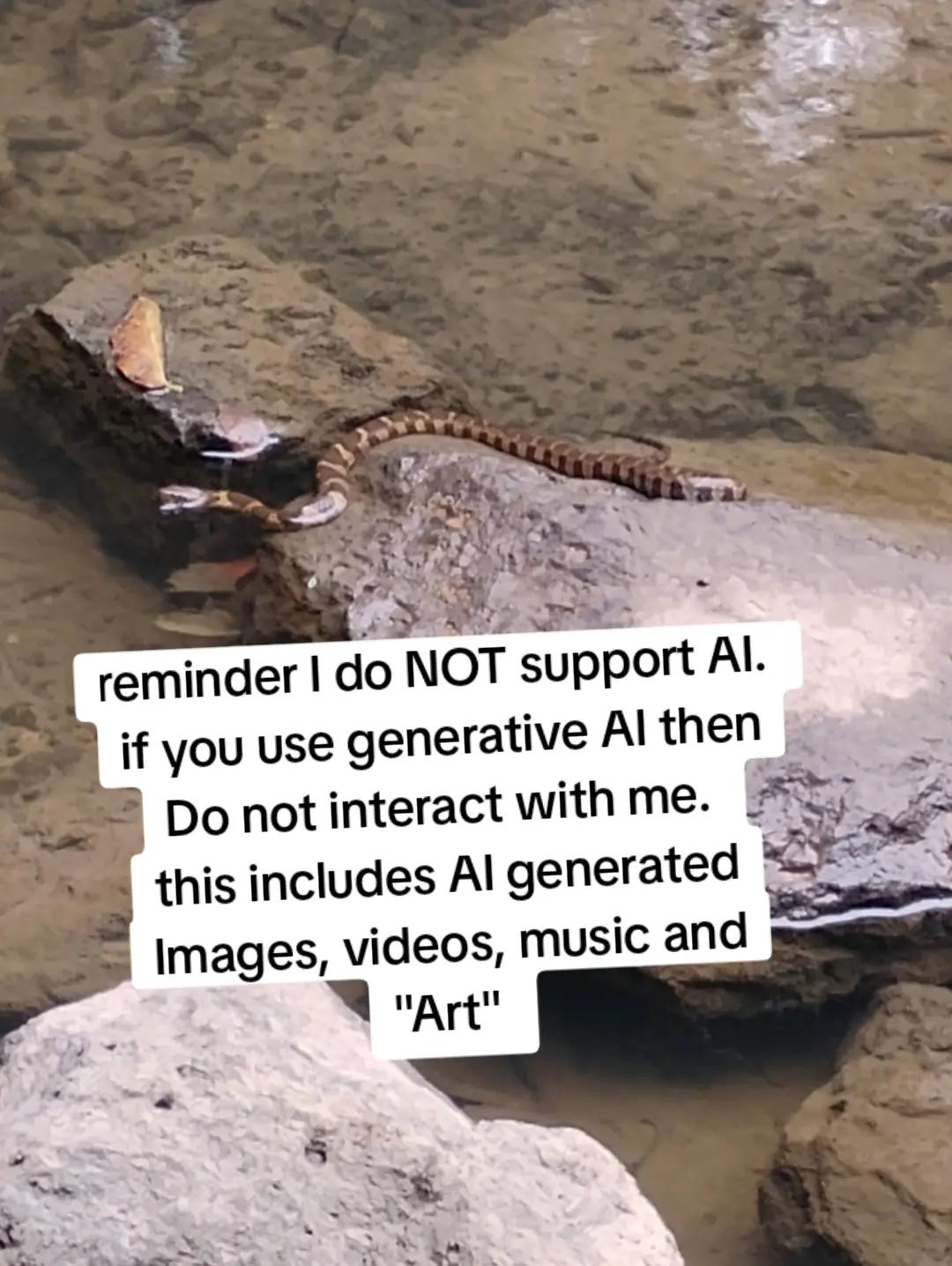 @Nomad Goose
