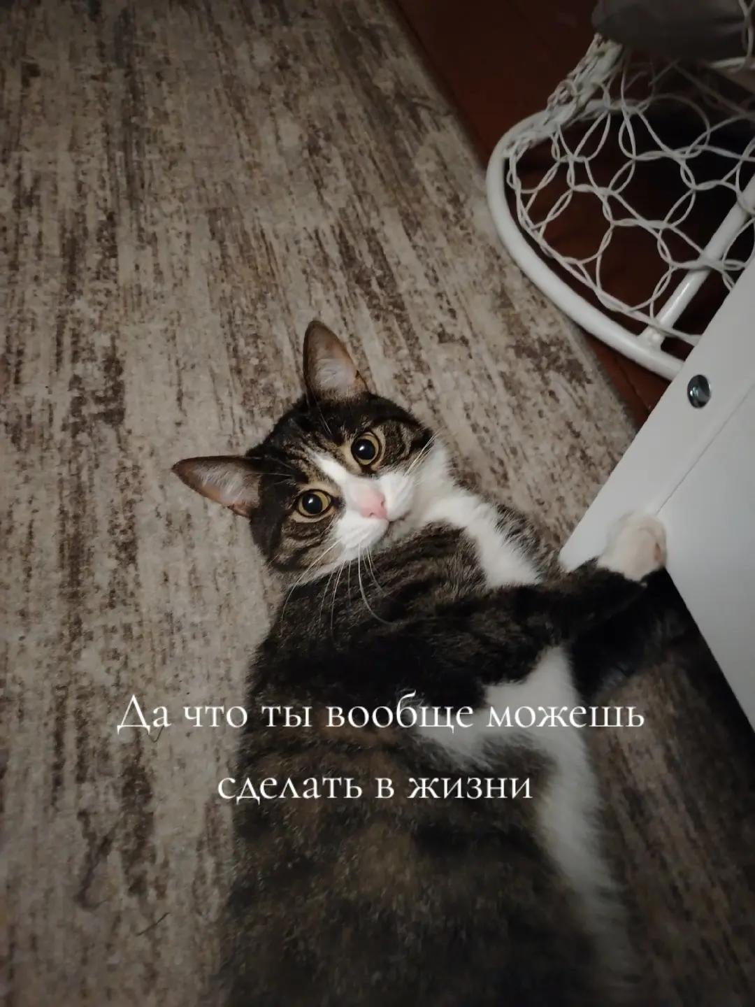 @Яgермiстер Орiх