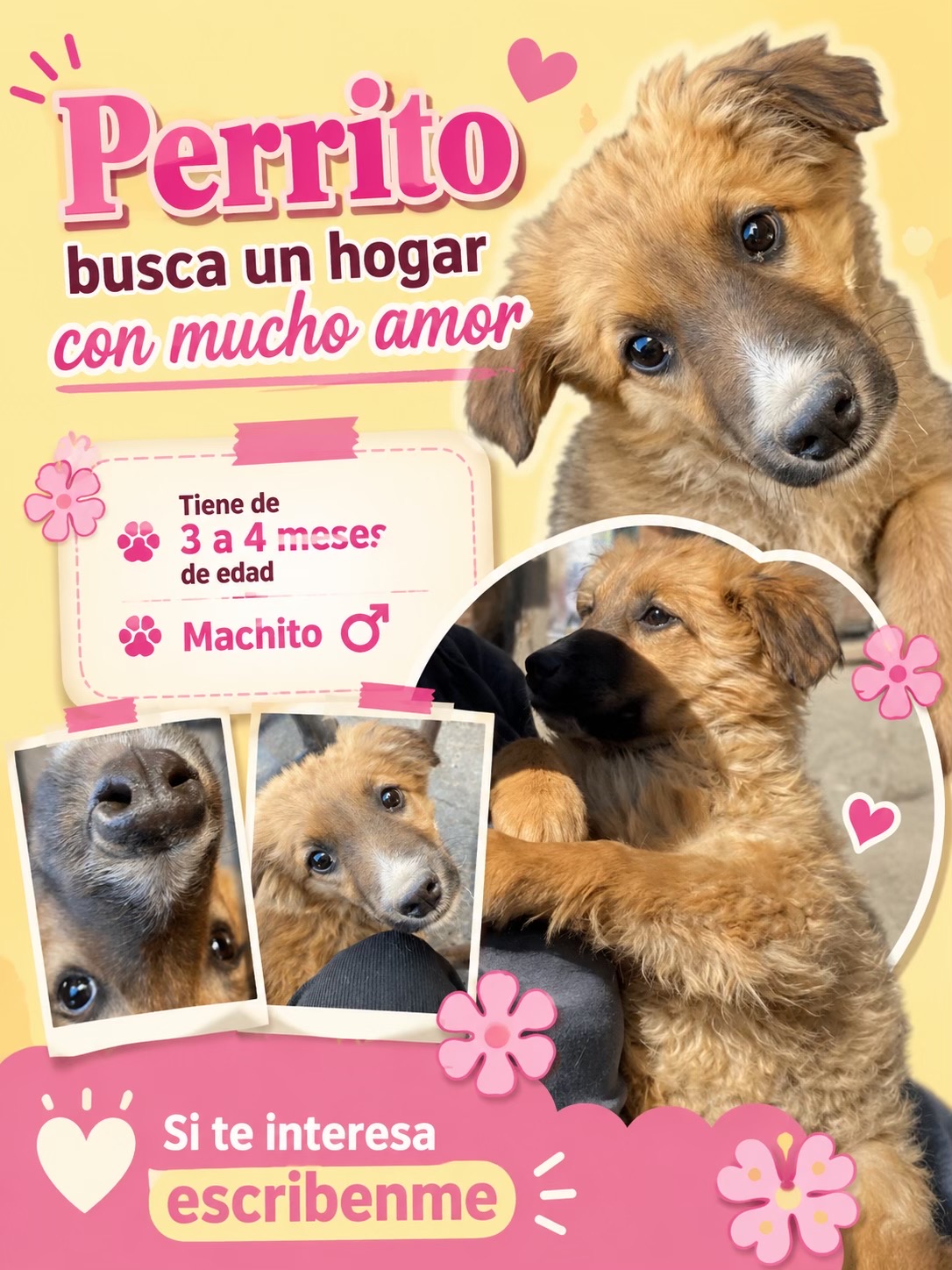 @Oveja💌