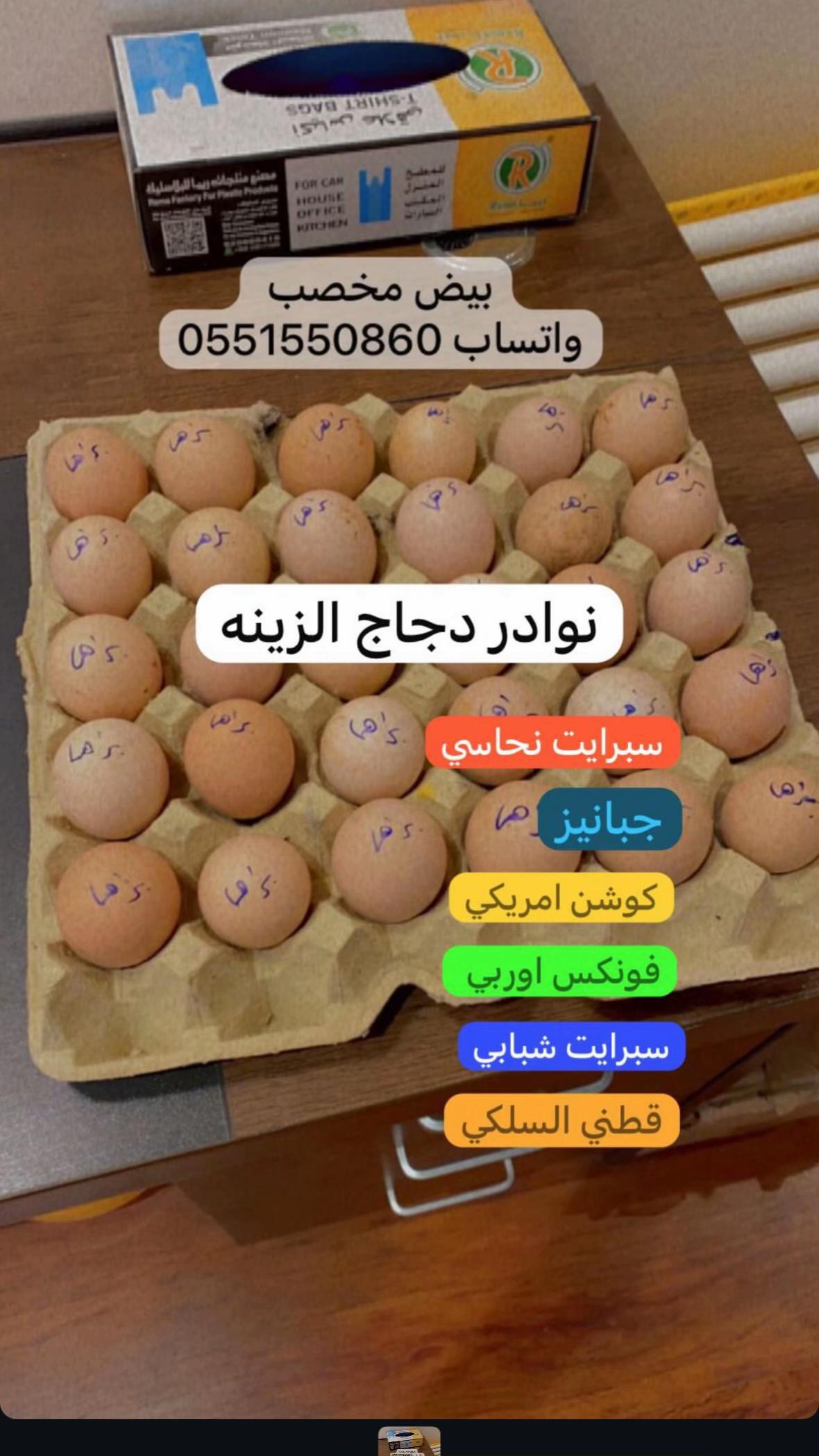 @نوادر الدجاج الزينه