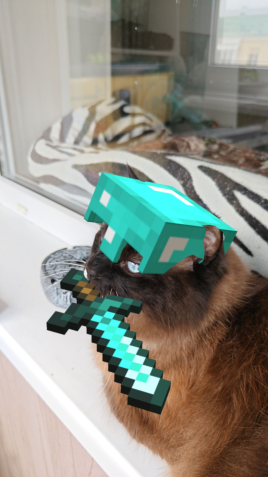 @CoolCat20146423
