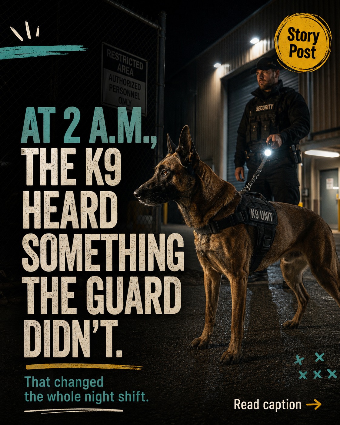 @K9 Warrior