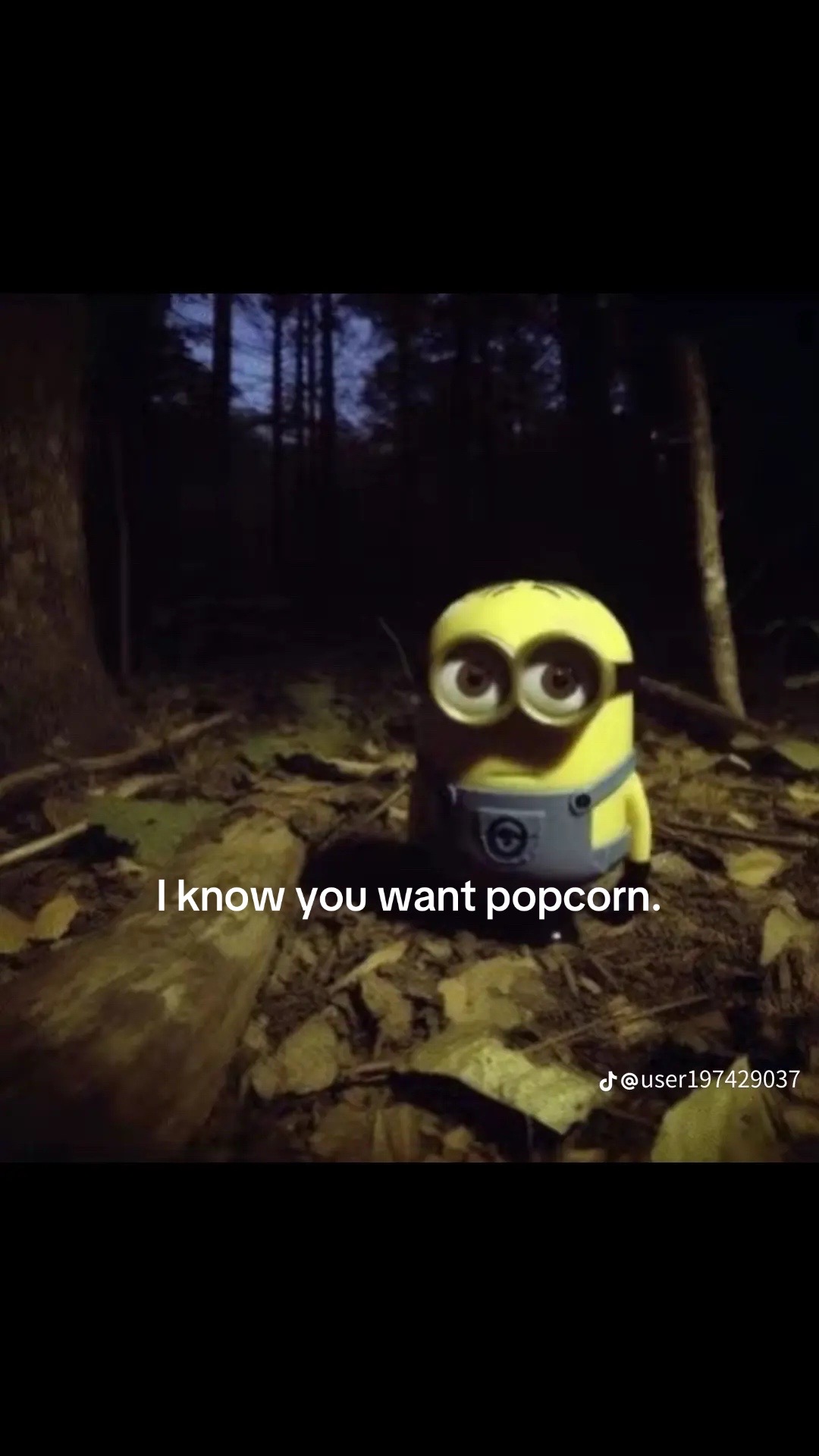 @bst