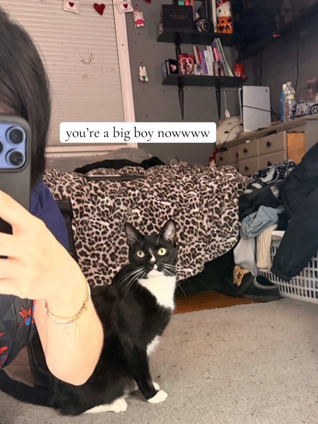 @abbs⁷