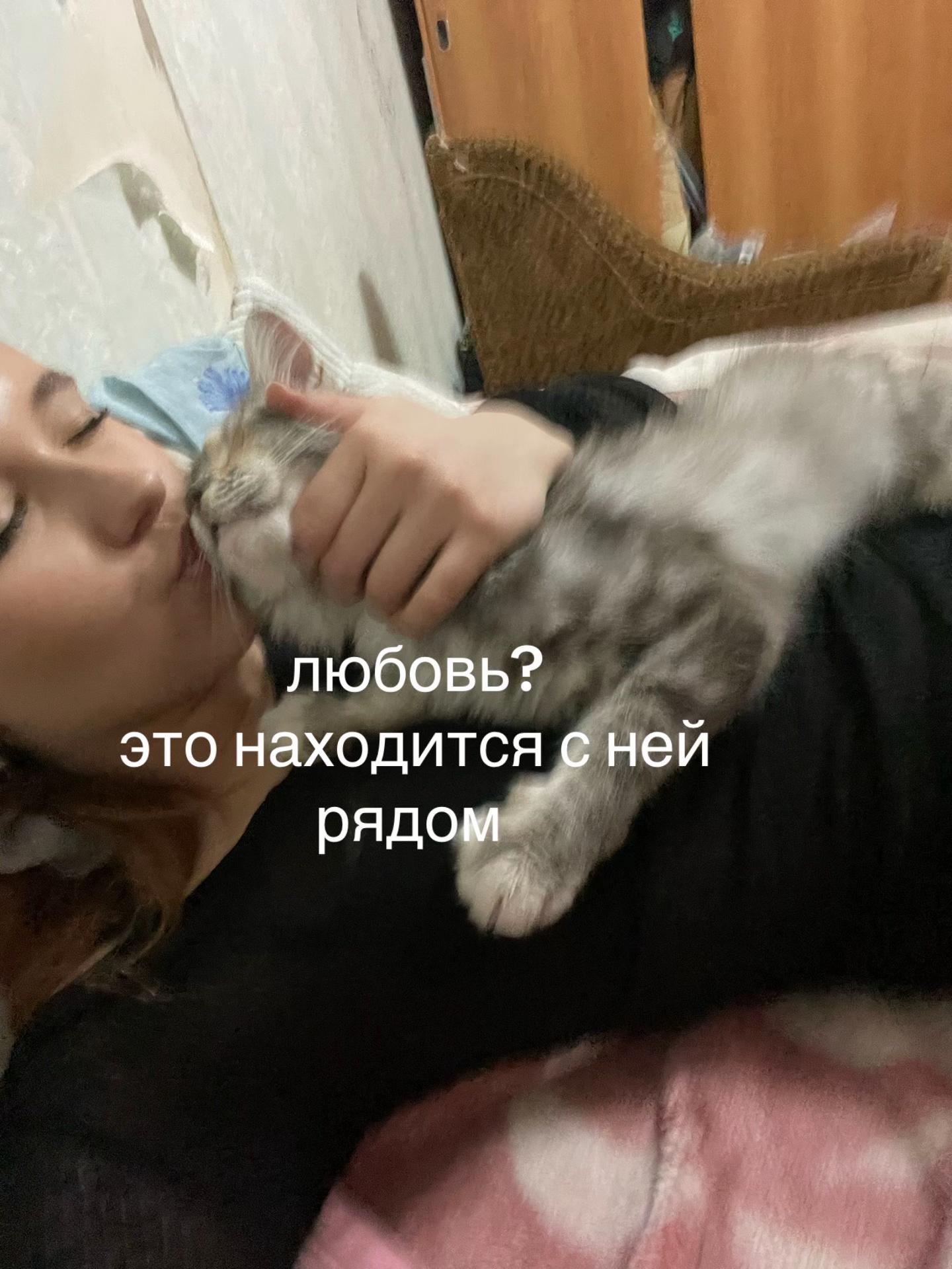 @bb