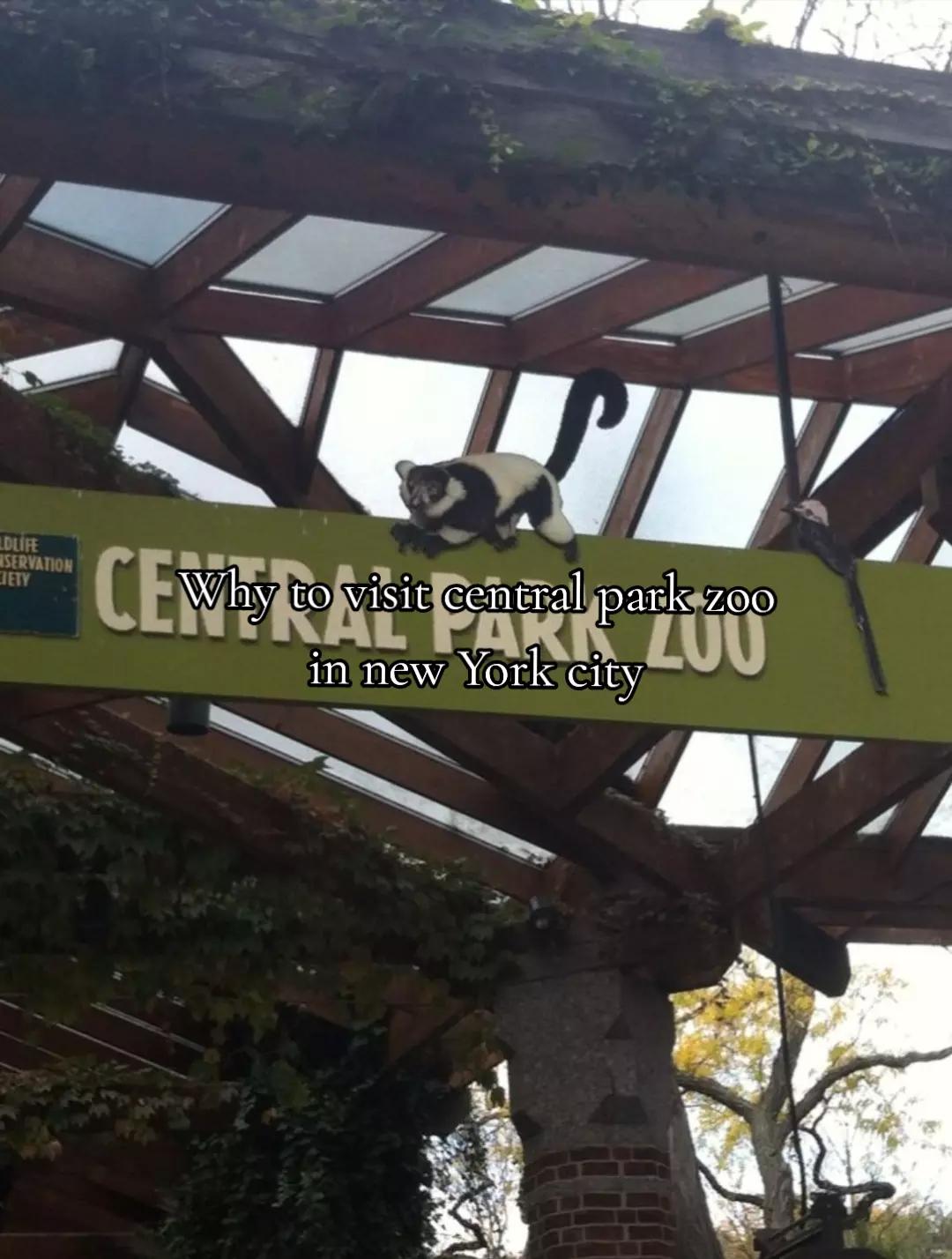 @Miss🍂