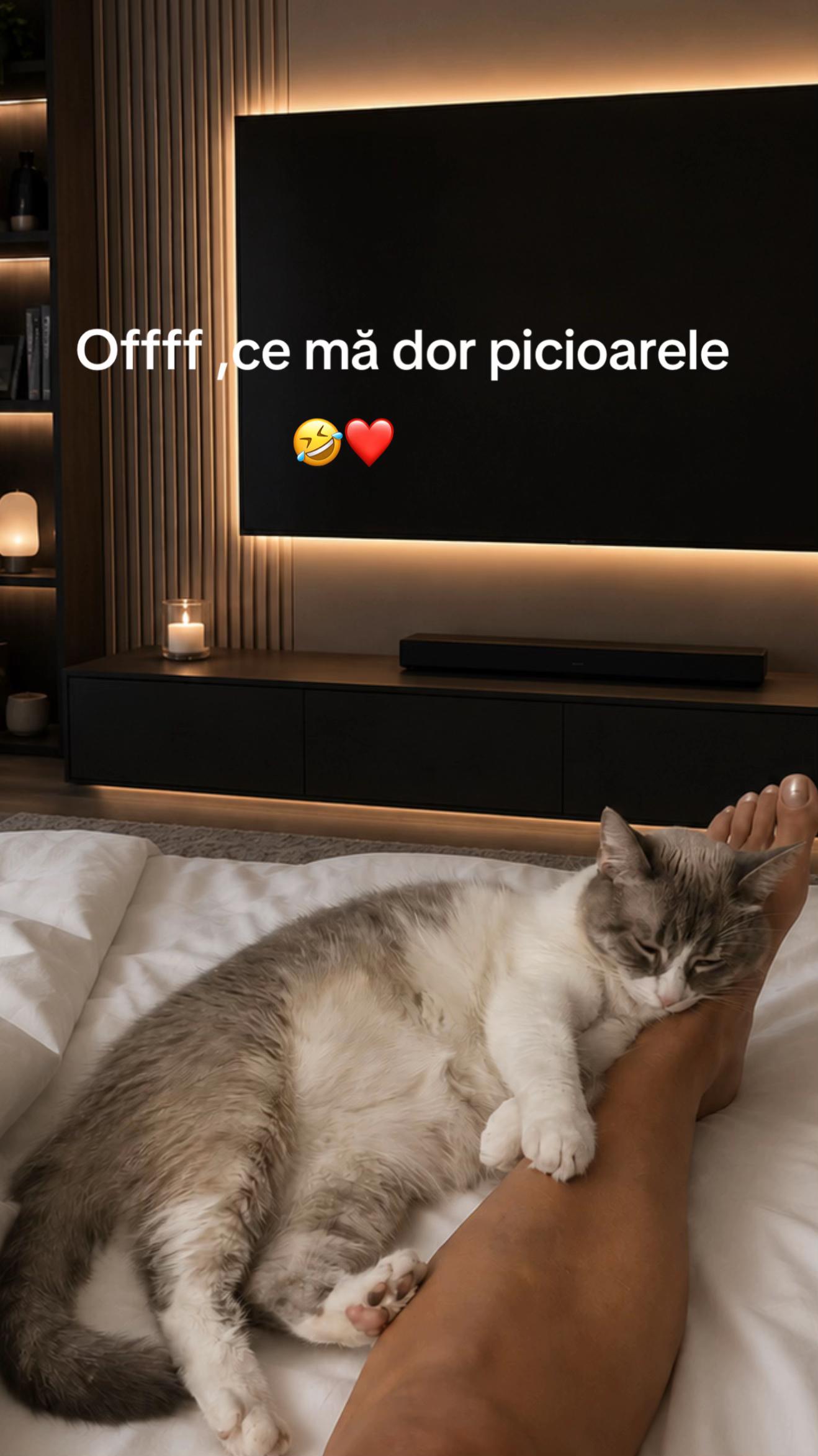 @CorneliaTica