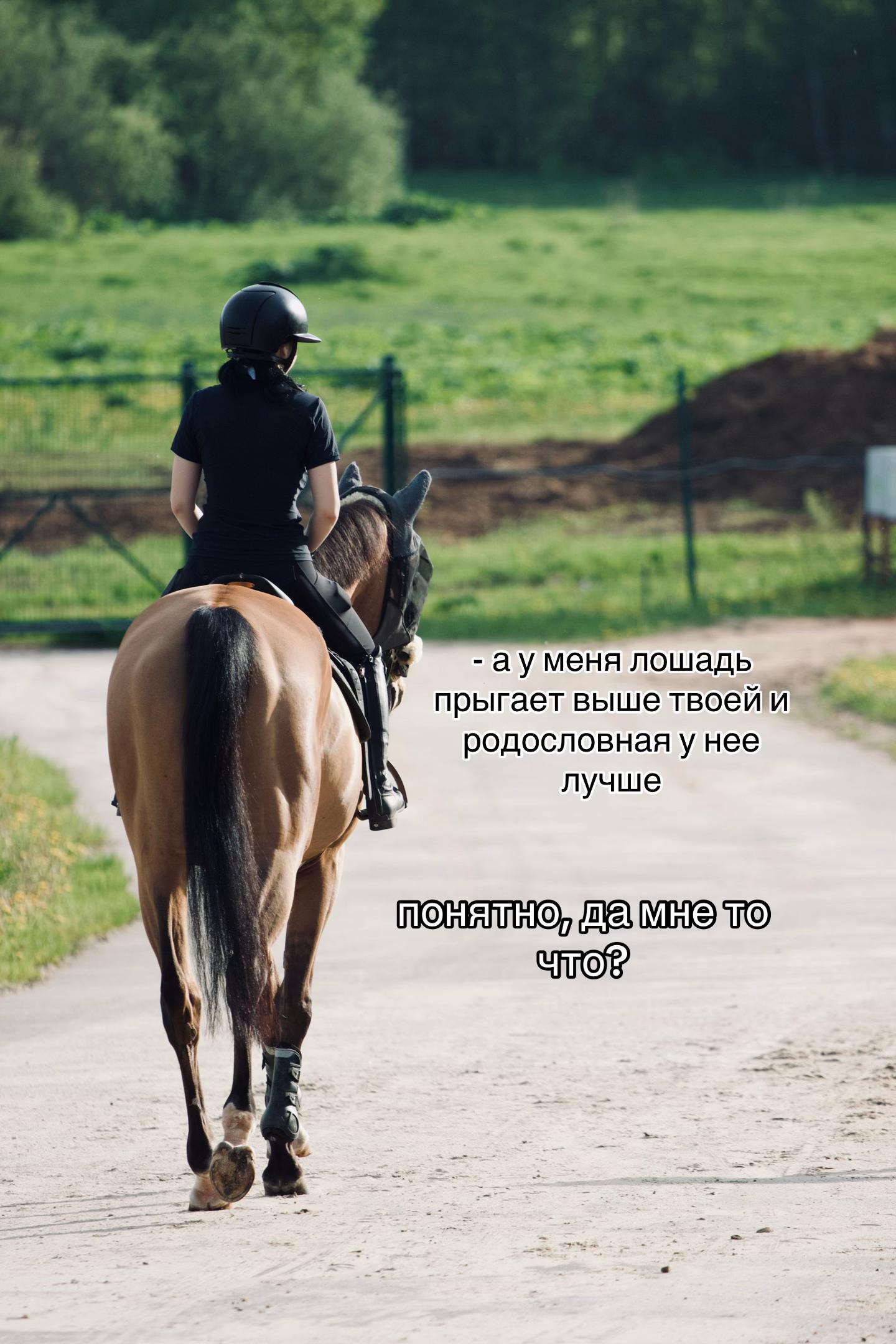 @овечкина