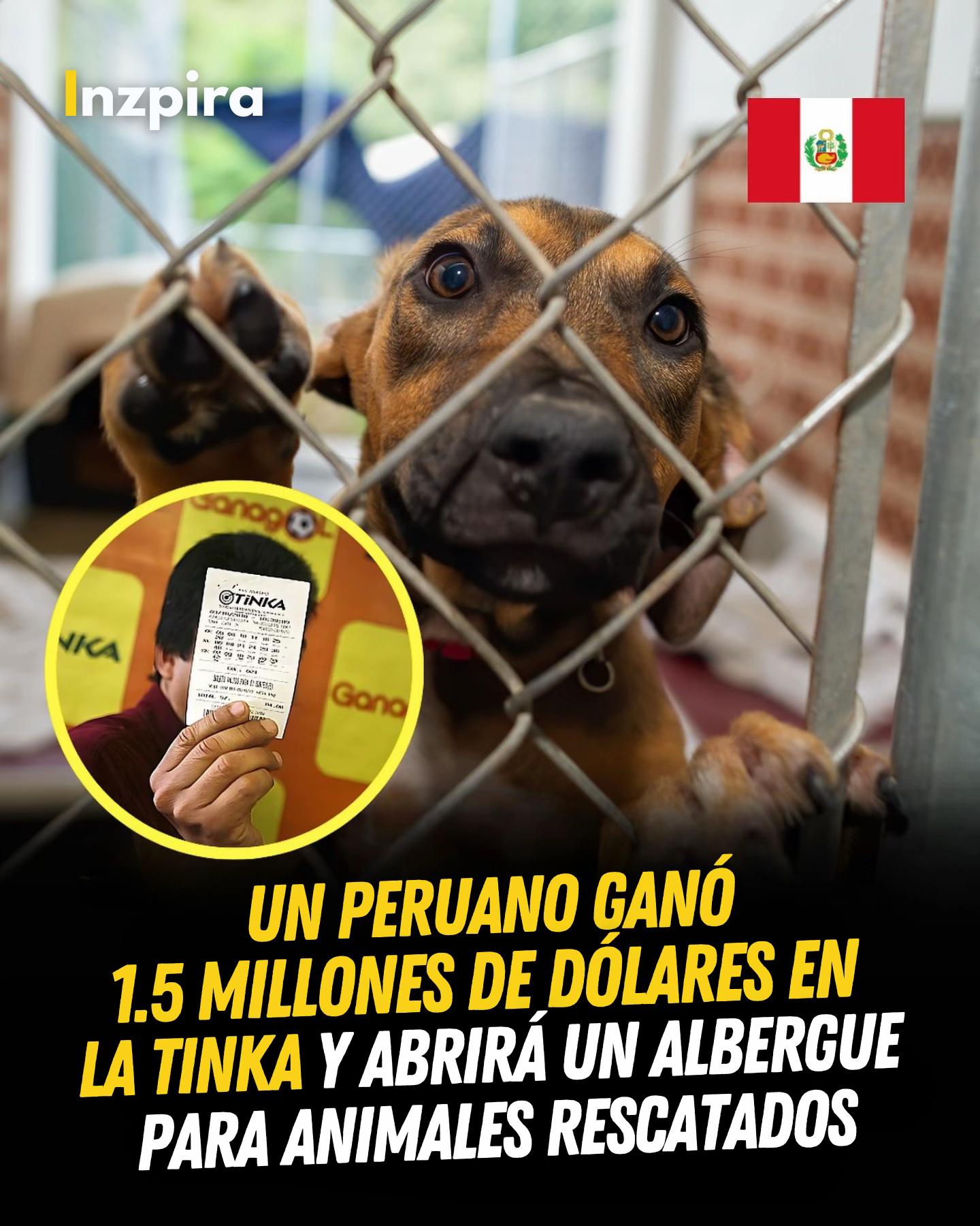@inzpira.oficial