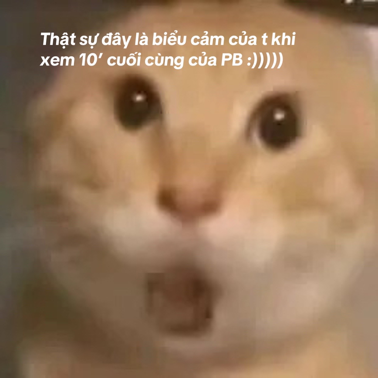 @Đu Hê Hê