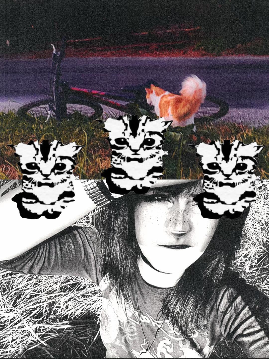 @K☥TT