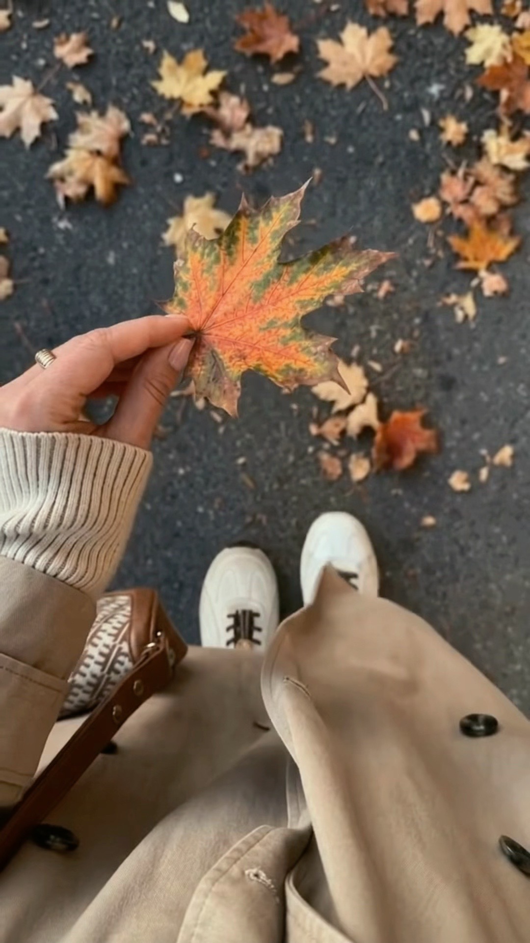 @mostlymaybe