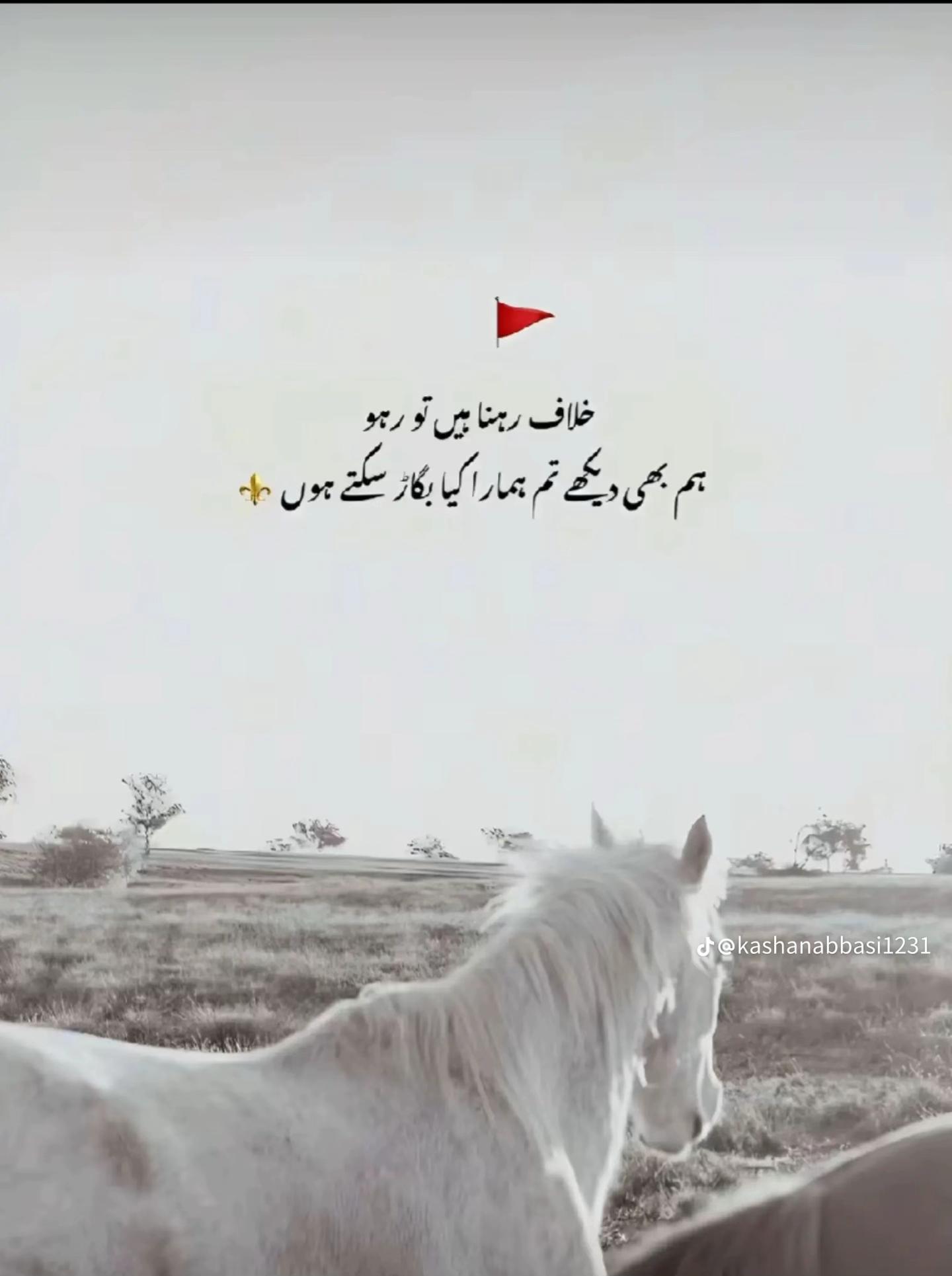 @Tahir007