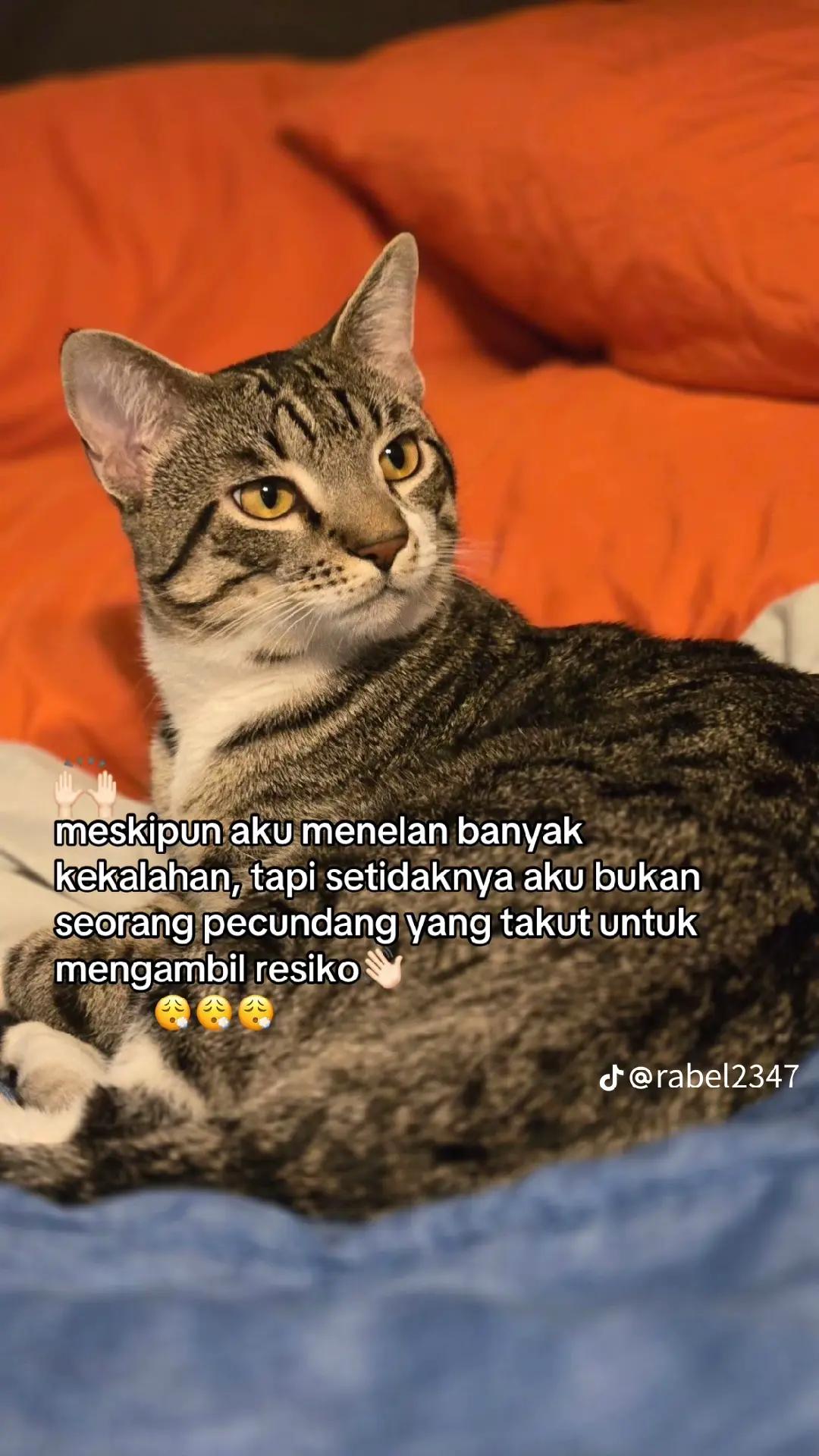 @Nasar