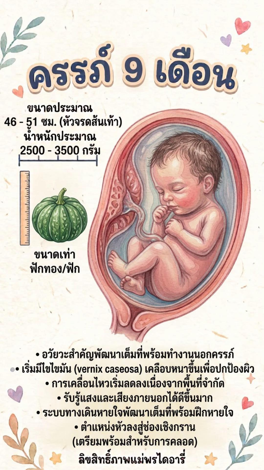 @แม่พรไดอารี่(20k)