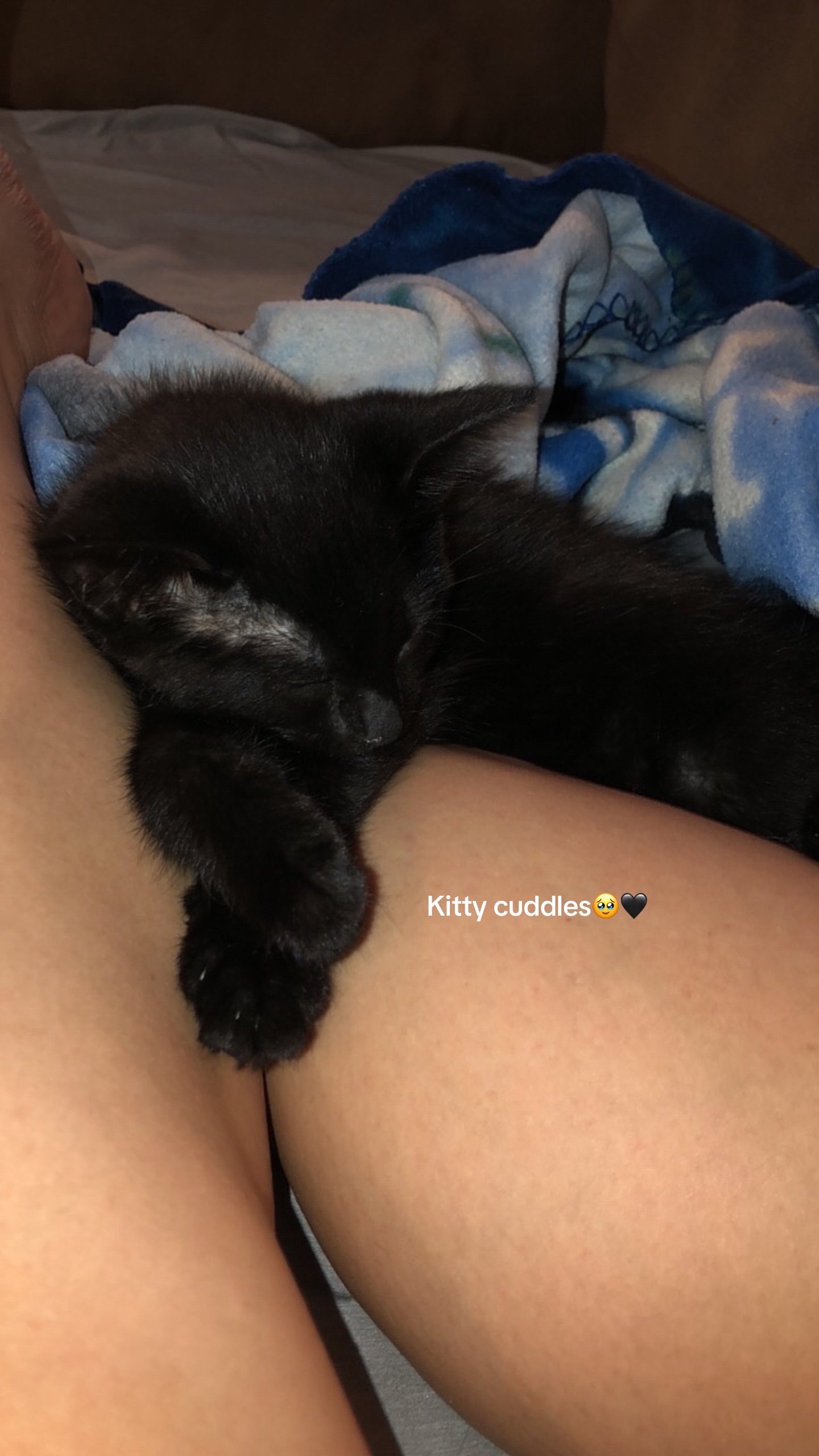 @ᏕᏬᎷᎷᏋᏒ🧿✨💜