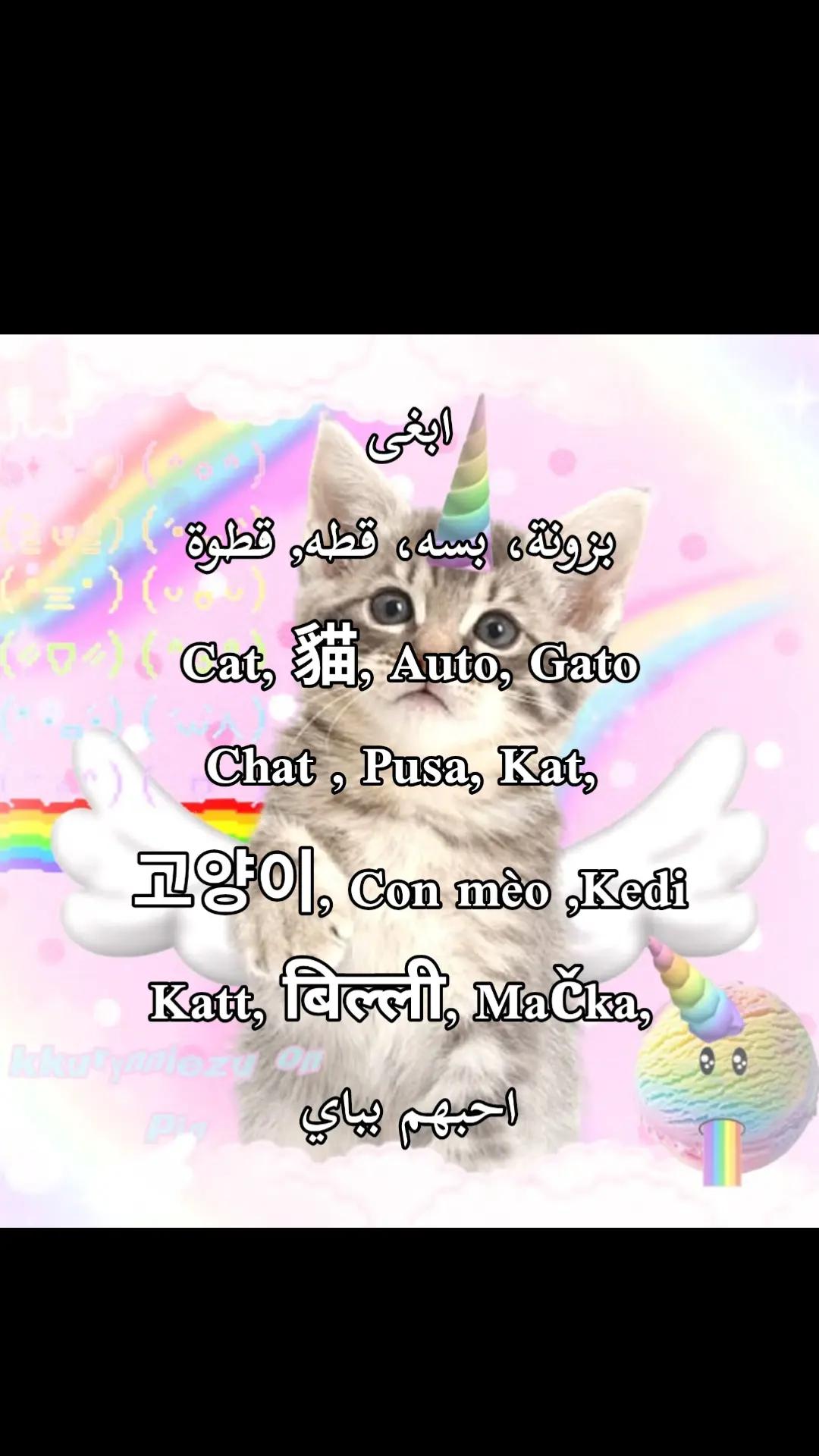 @َِْٖٓՏ𝑎𝘮𝚊シ︎