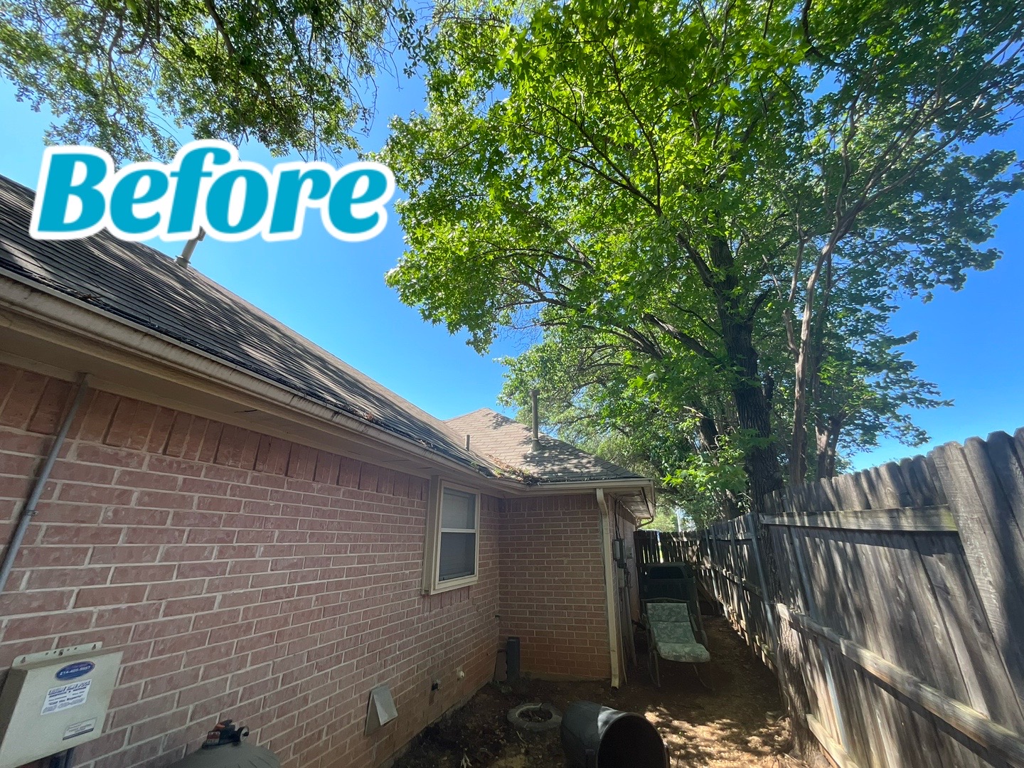 @Live Oak Tree Service