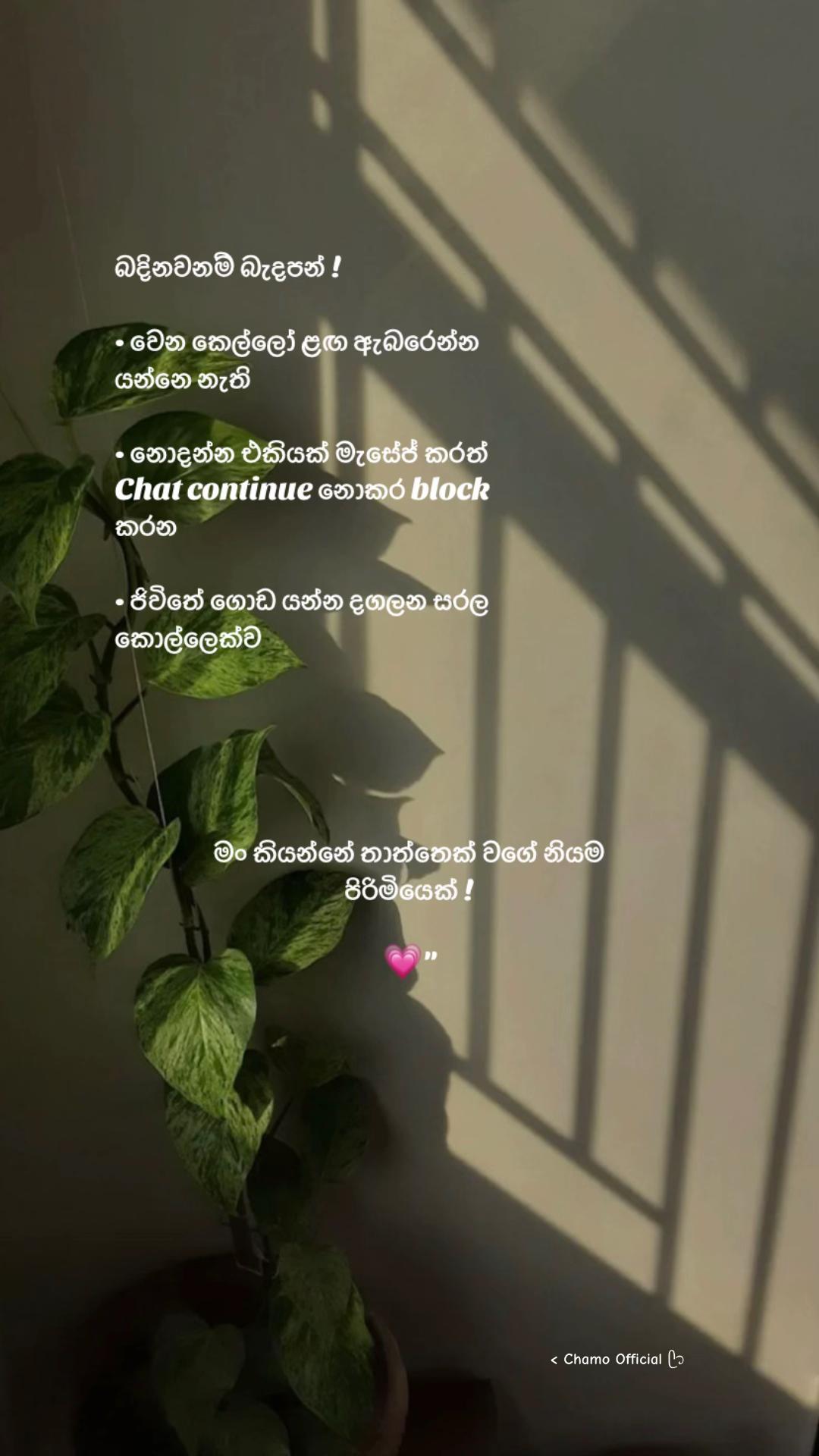 @< 𝐂𝐡𝐚𝐦𝐨 ᥫ᭡
