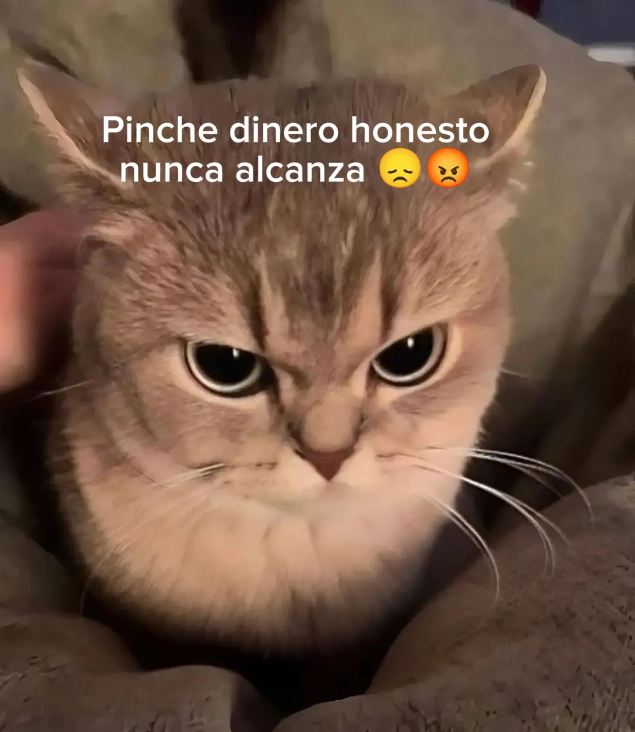@Alexsan34🗿